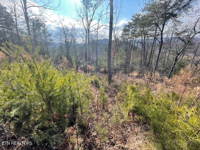 235 Indian Ridge Drive Tellico Plains TN 37385