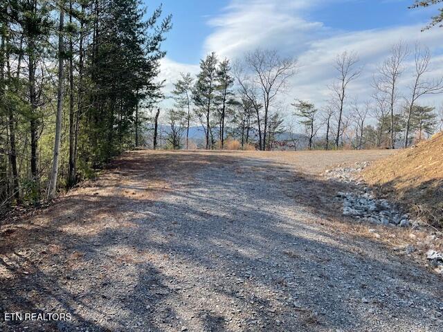 235 Indian Ridge Drive Tellico Plains TN 37385