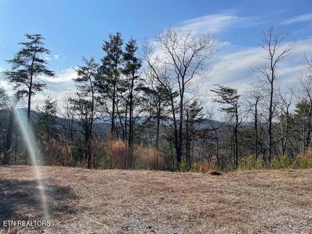235 Indian Ridge Drive Tellico Plains TN 37385