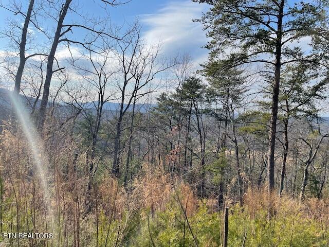 235 Indian Ridge Drive Tellico Plains TN 37385