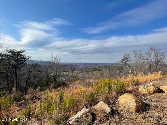235 Indian Ridge Drive Tellico Plains TN 37385