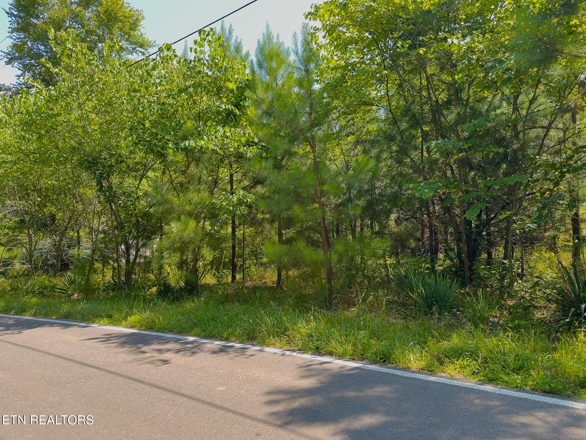 55 & 56 Lillydale Road Byrdstown TN 38549