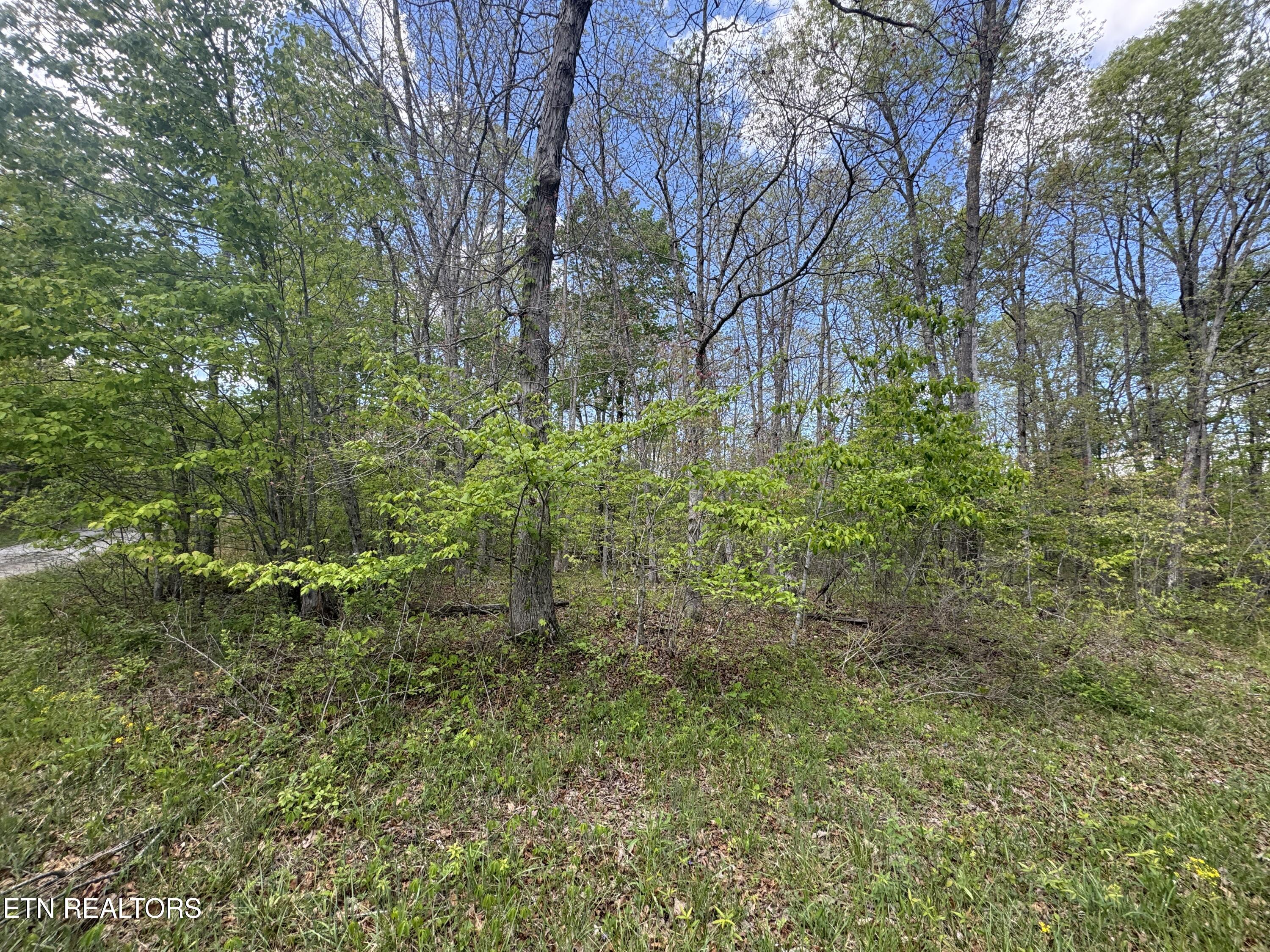 50 Redwing Circle Crossville TN 38572