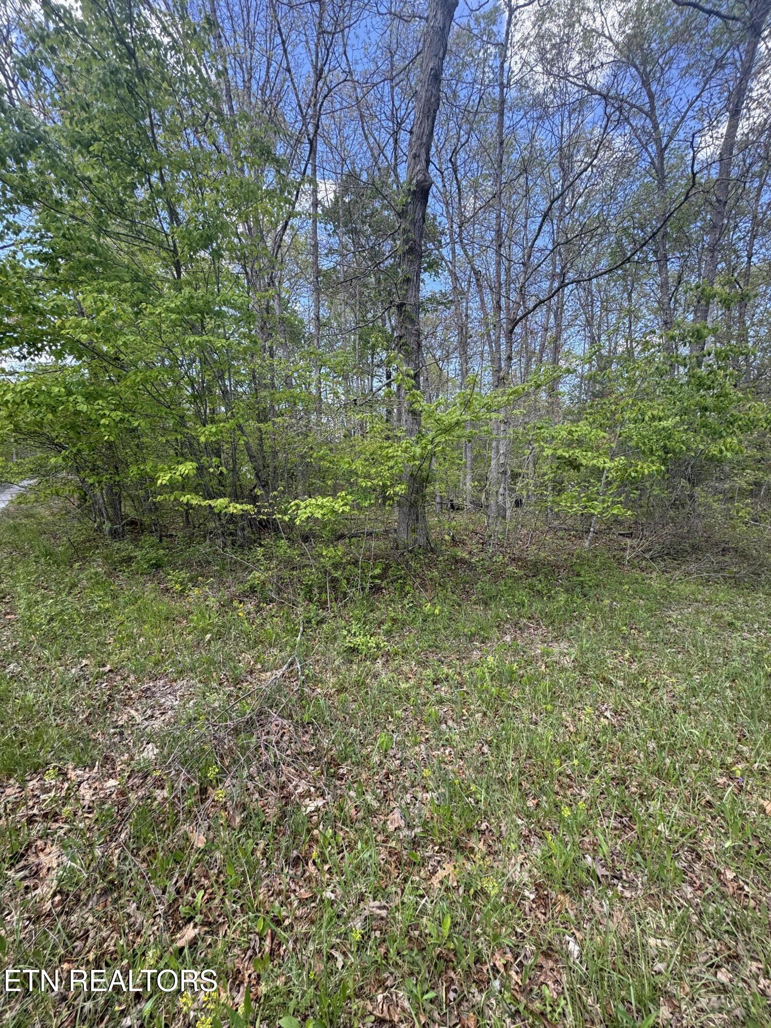 50 Redwing Circle Crossville TN 38572