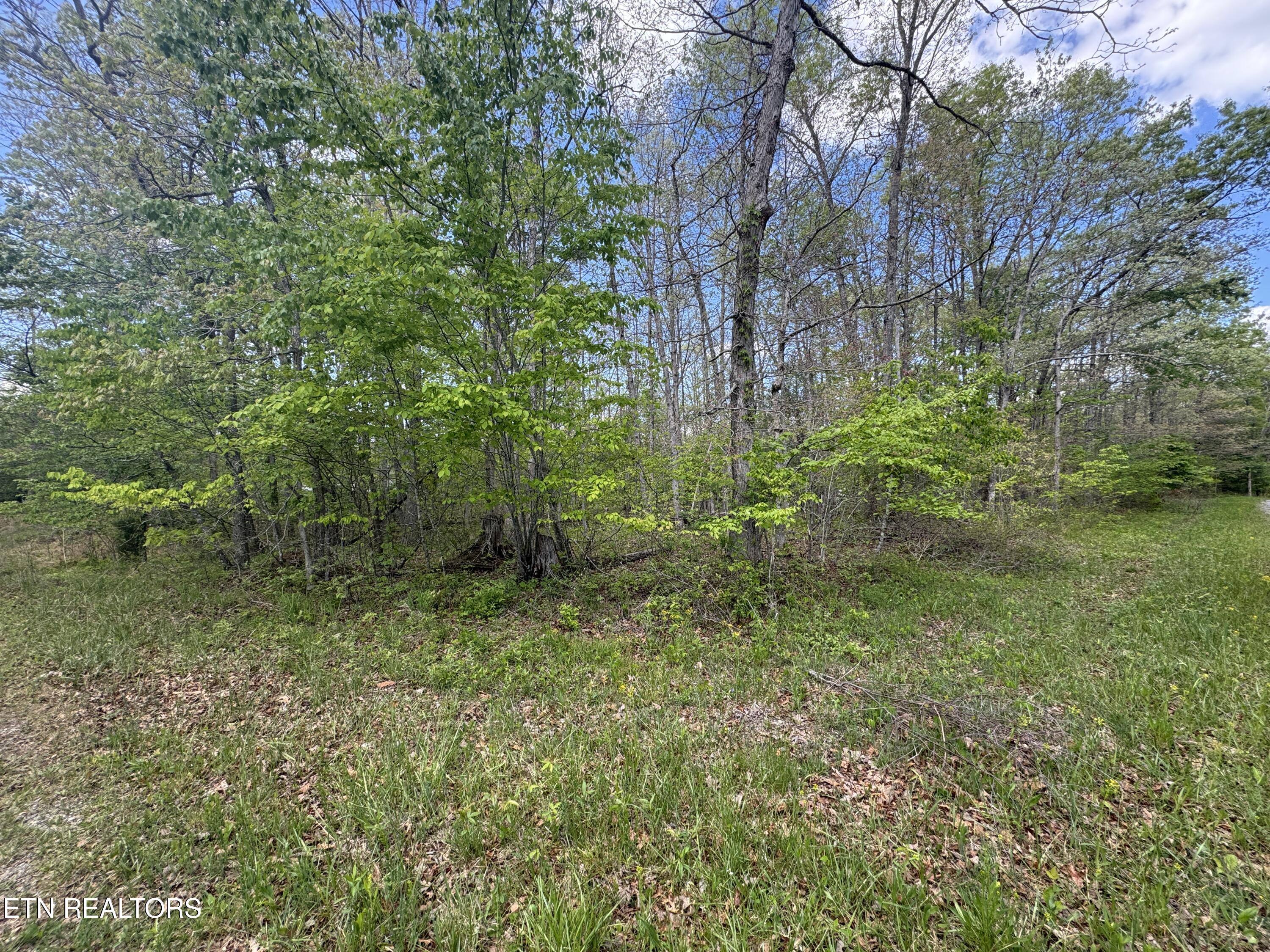 50 Redwing Circle Crossville TN 38572