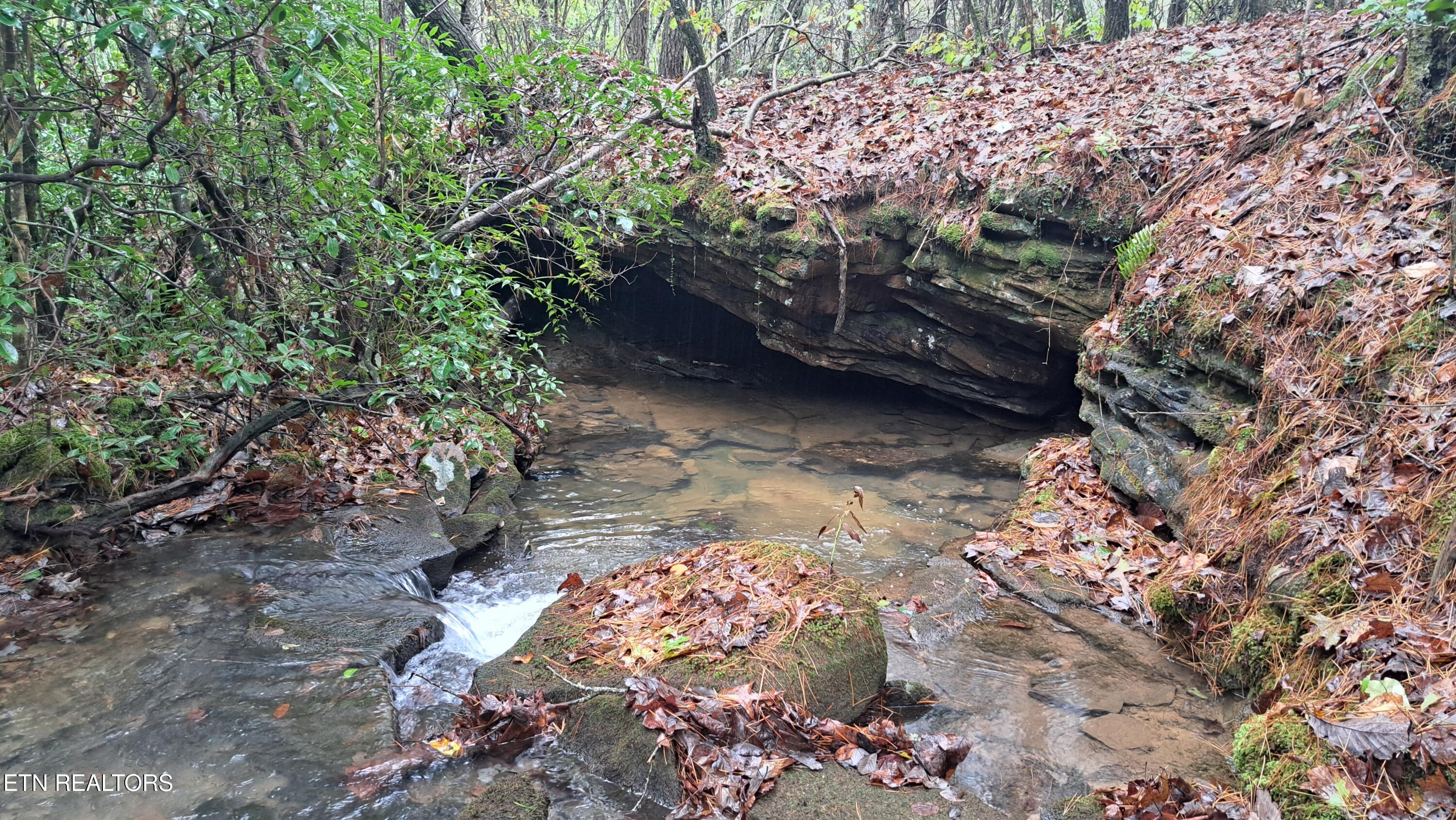 Lot 23 Cornerstone Drive Rockwood TN 37854