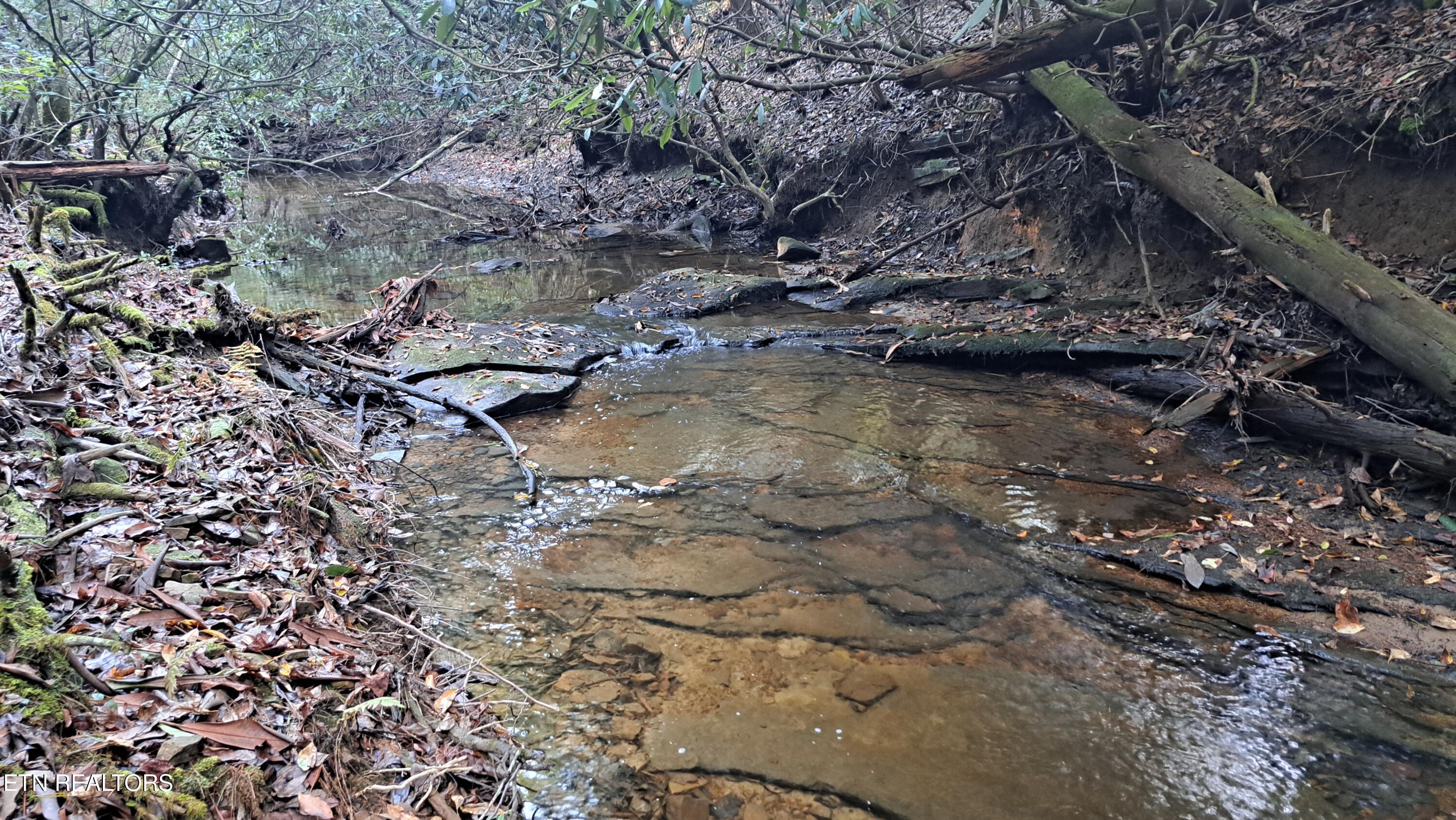 Lot 23 Cornerstone Drive Rockwood TN 37854