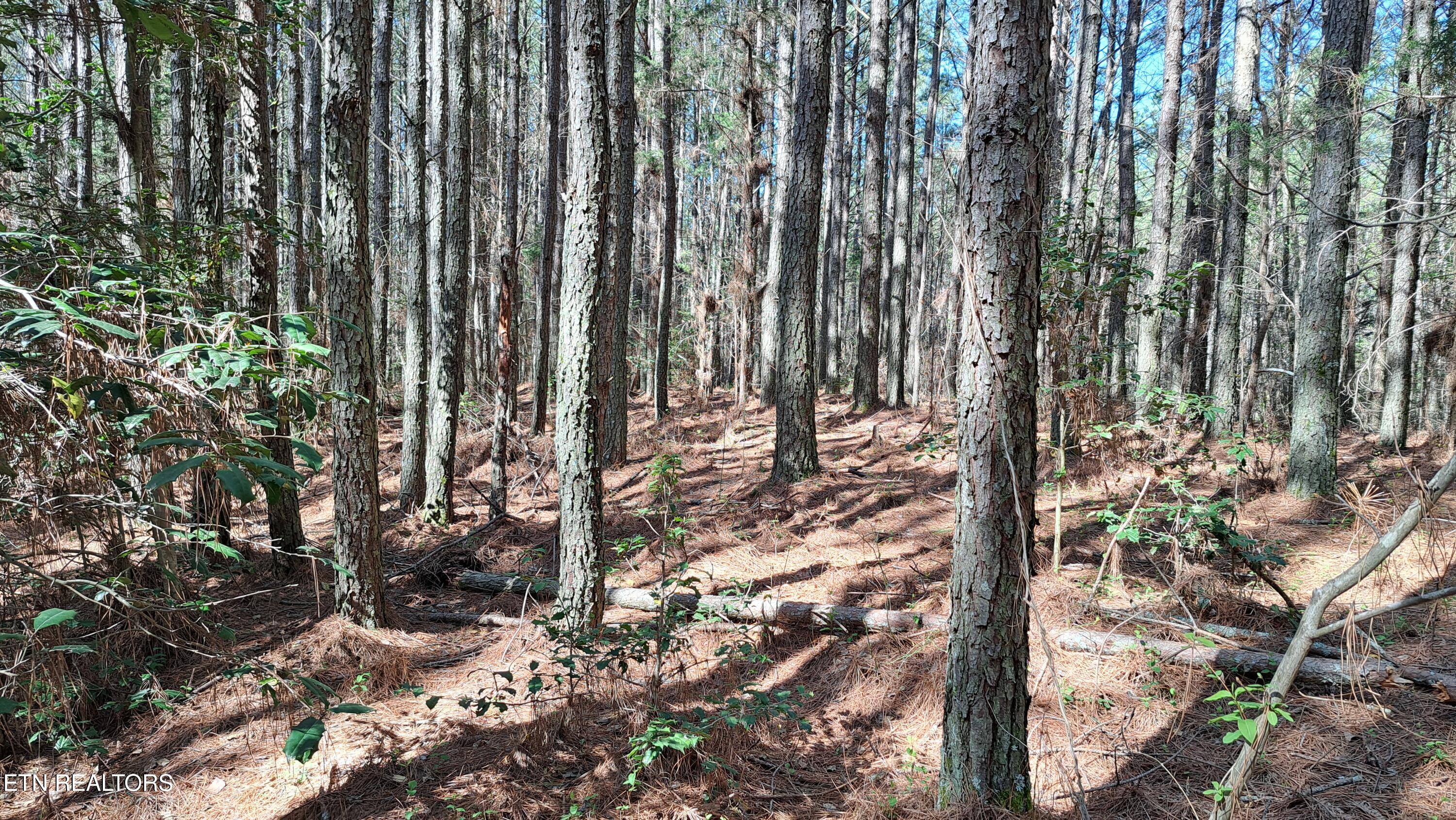 Lot 23 Cornerstone Drive Rockwood TN 37854