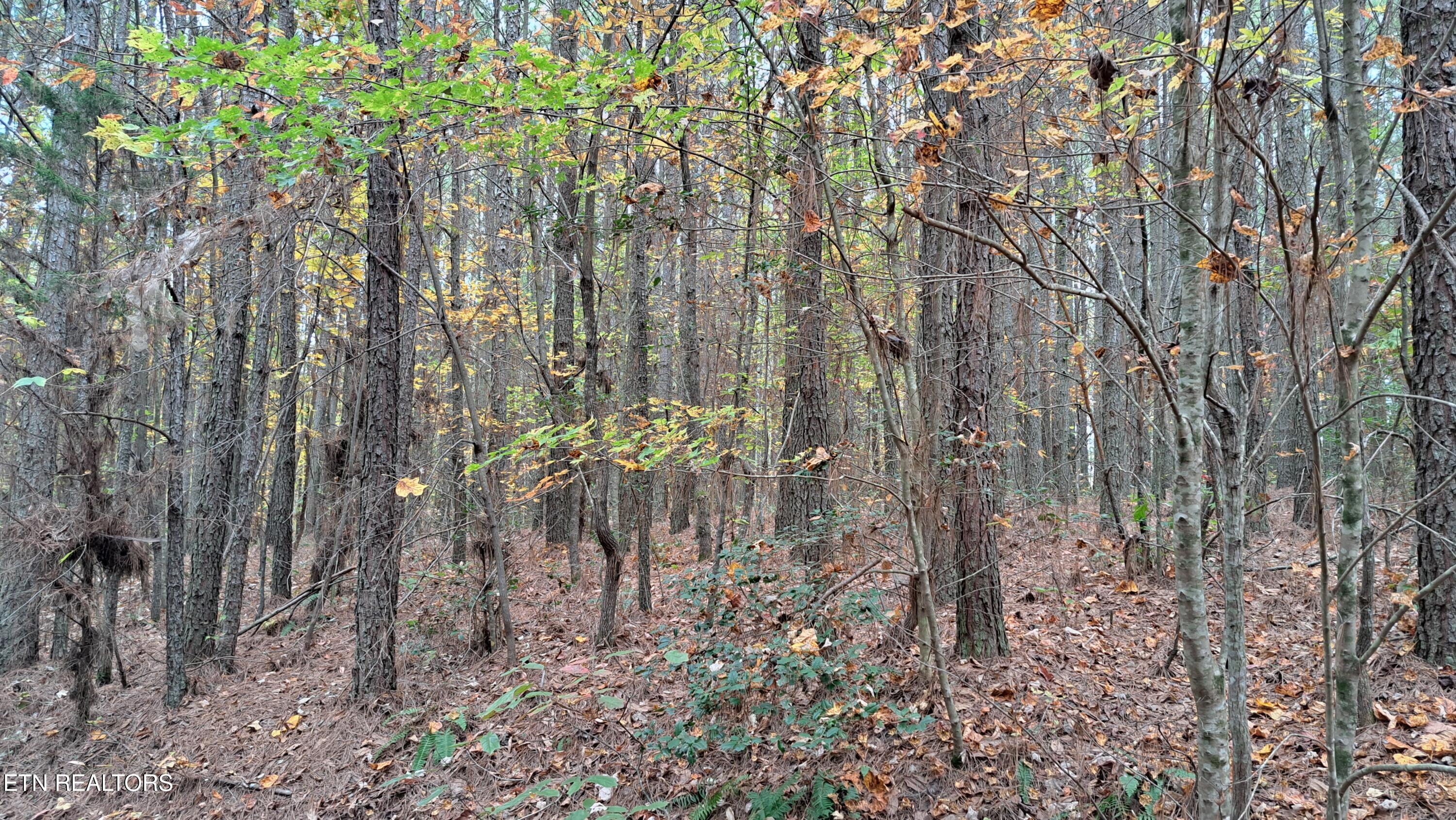 Lot 23 Cornerstone Drive Rockwood TN 37854