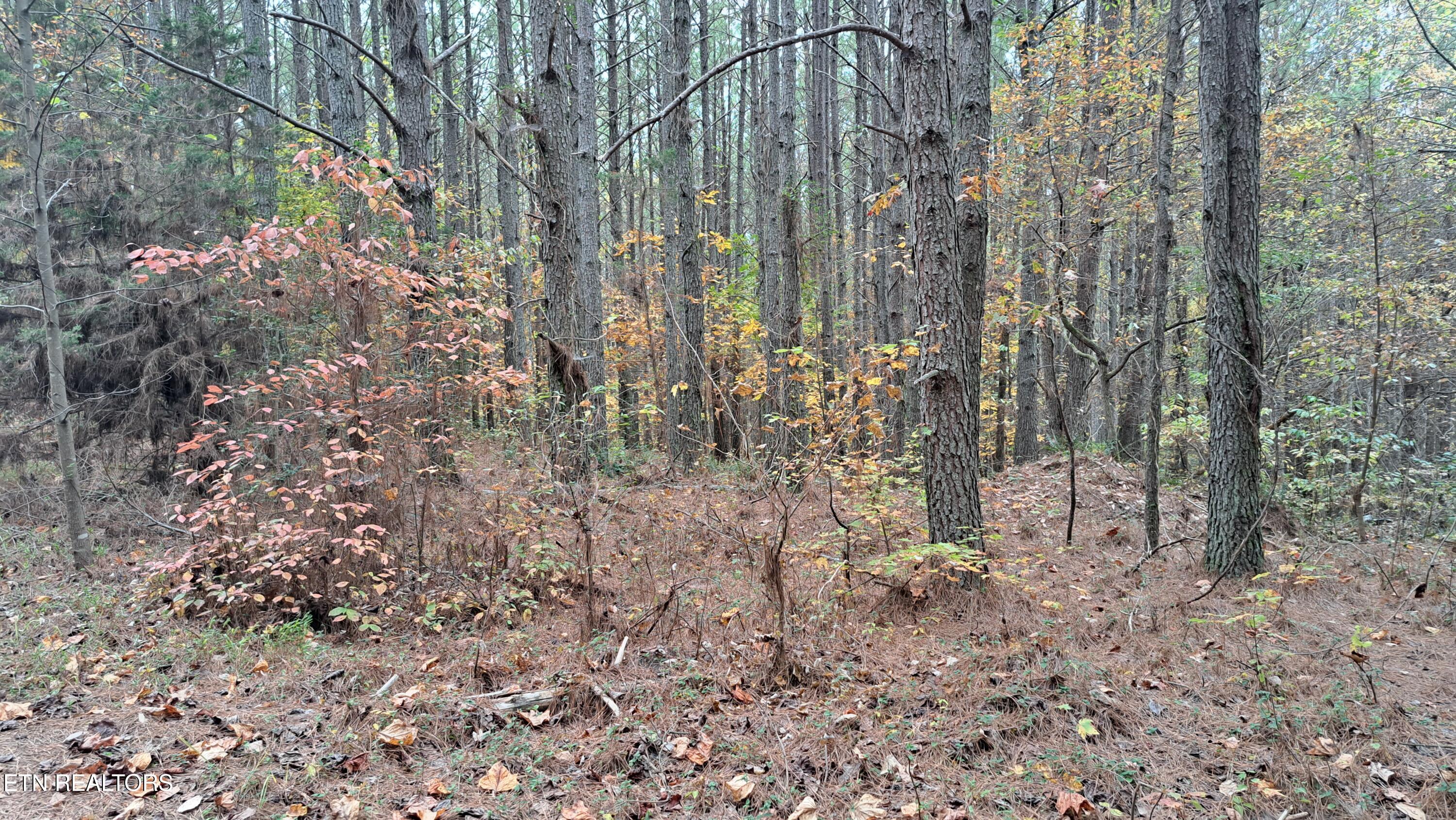 Lot 23 Cornerstone Drive Rockwood TN 37854