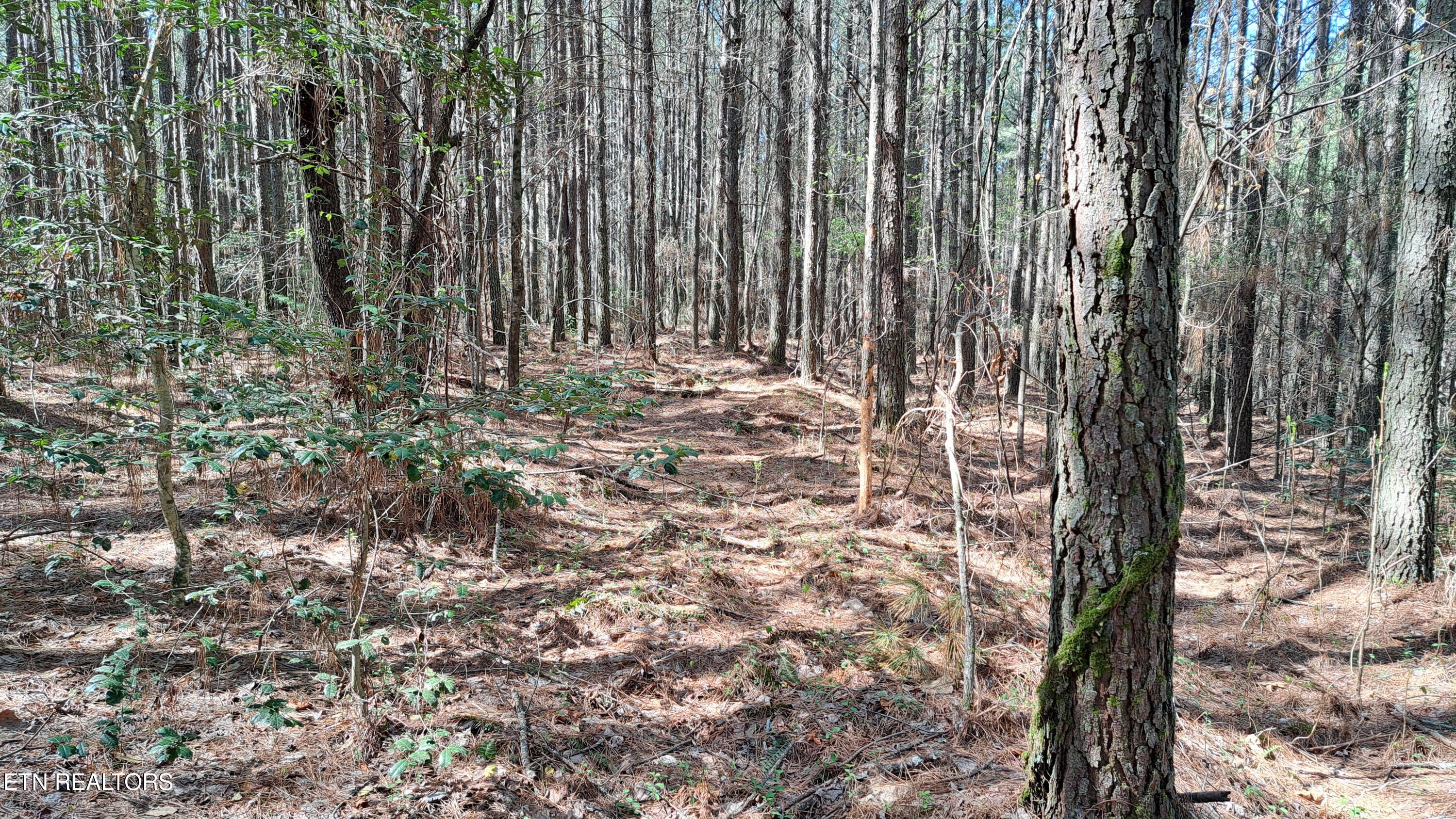 Lot 23 Cornerstone Drive Rockwood TN 37854