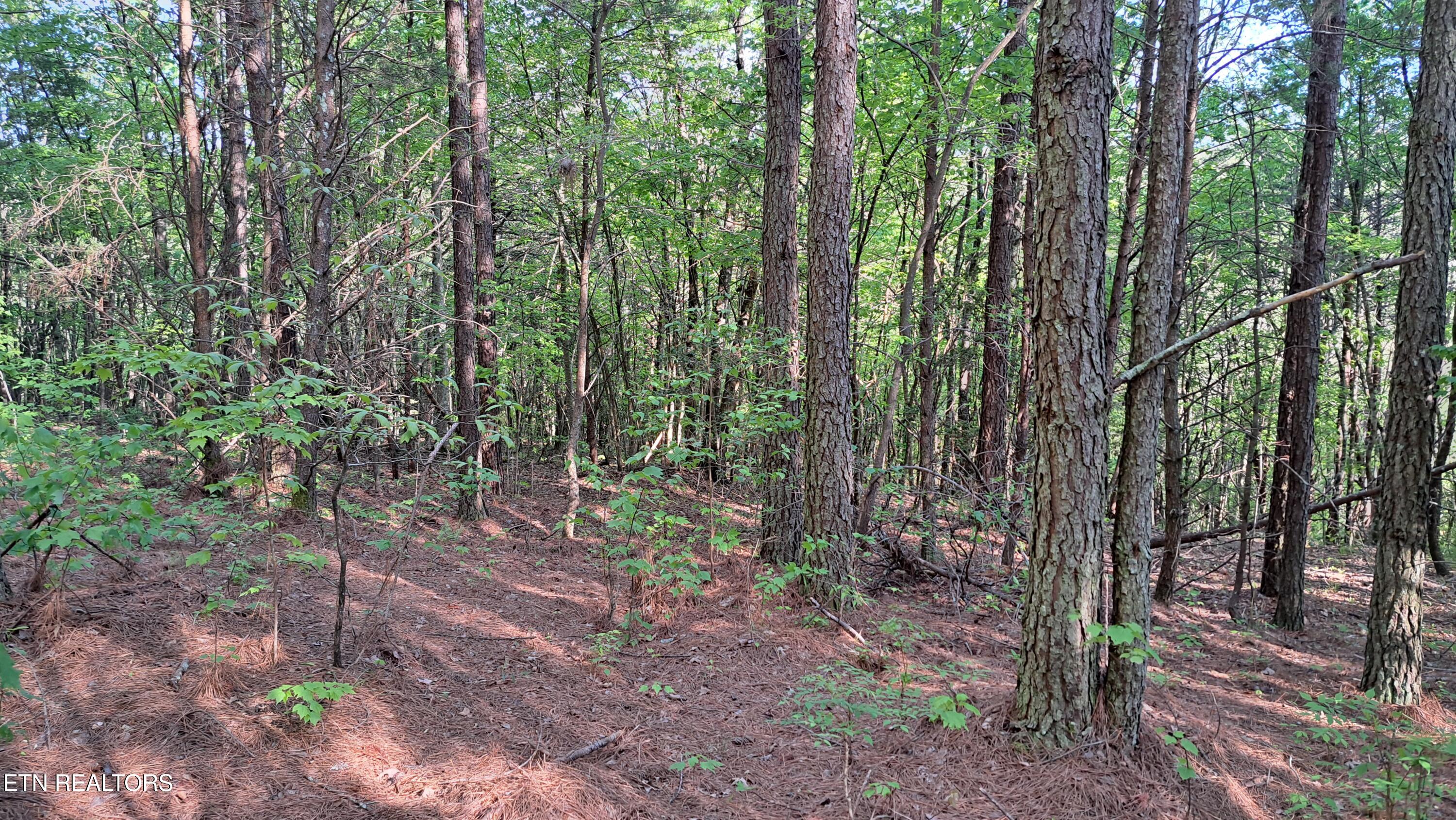 Lot 23 Cornerstone Drive Rockwood TN 37854