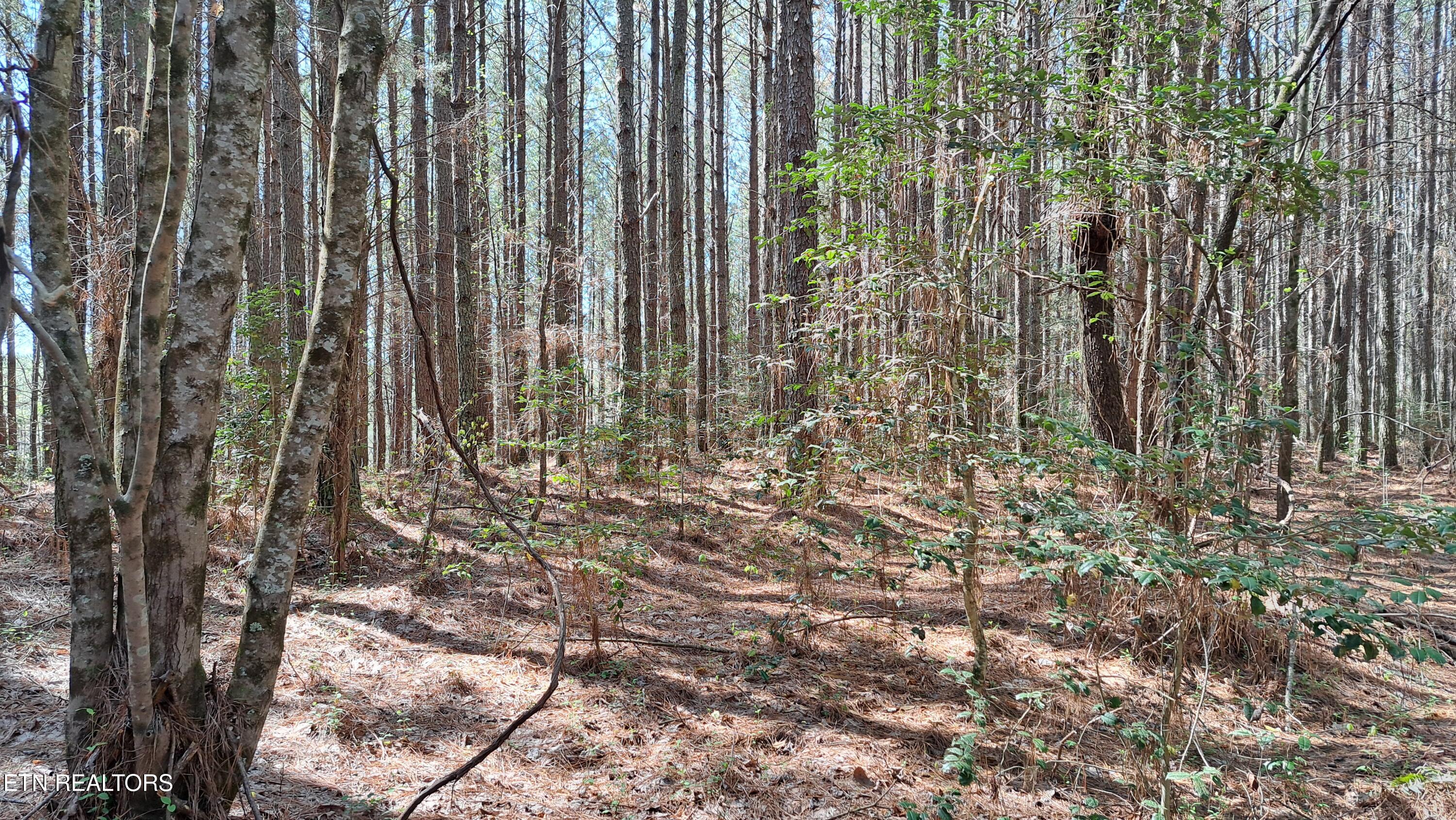 Lot 23 Cornerstone Drive Rockwood TN 37854