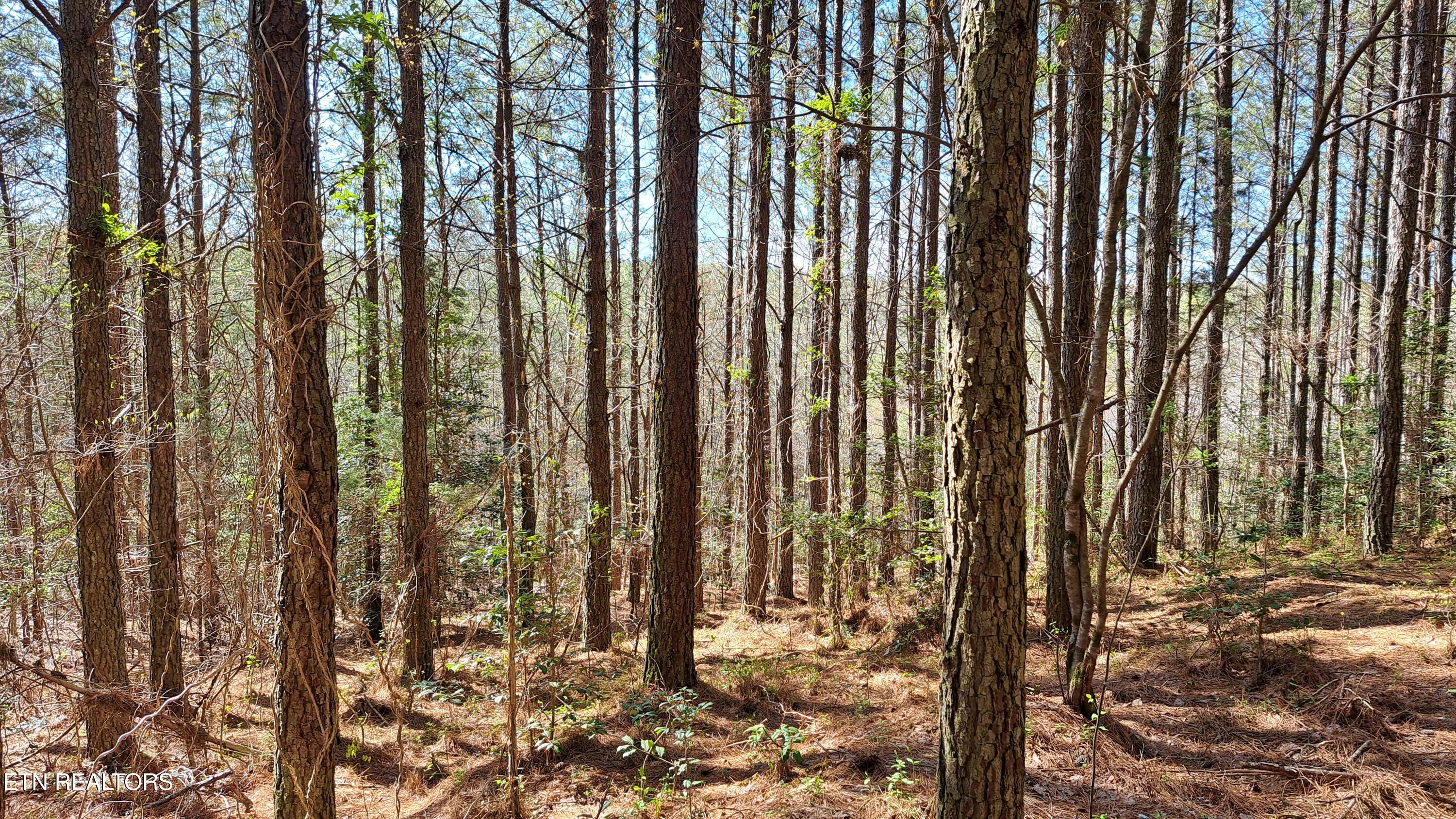 Lot 23 Cornerstone Drive Rockwood TN 37854