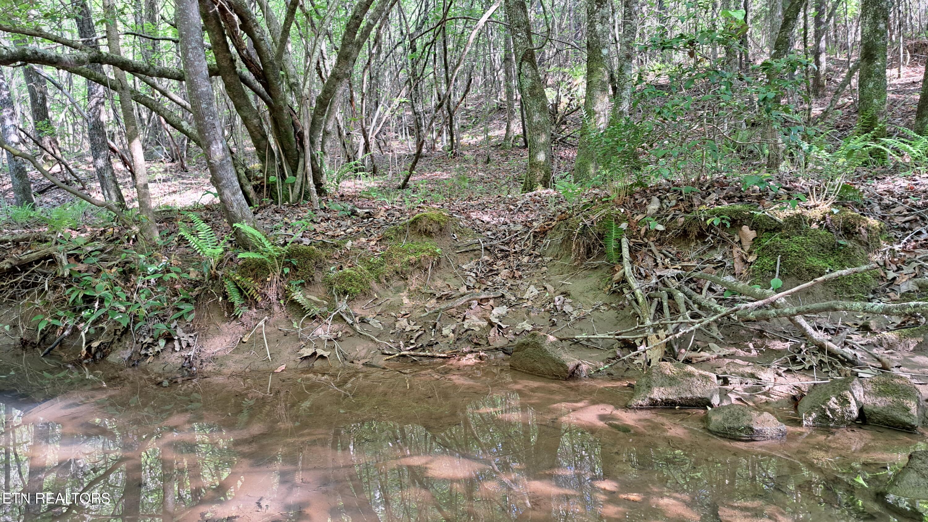 Lot 23 Cornerstone Drive Rockwood TN 37854