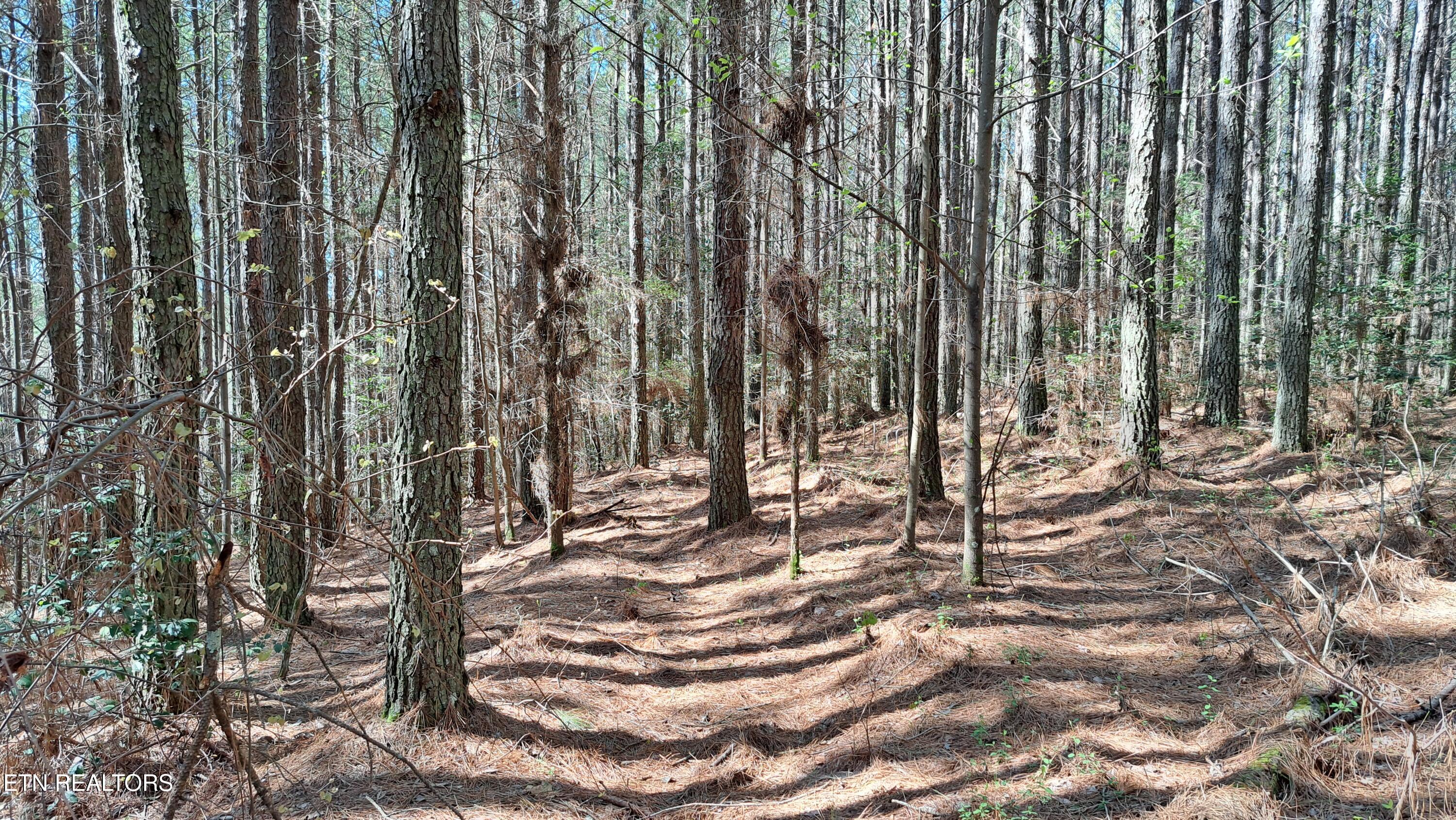 Lot 23 Cornerstone Drive Rockwood TN 37854