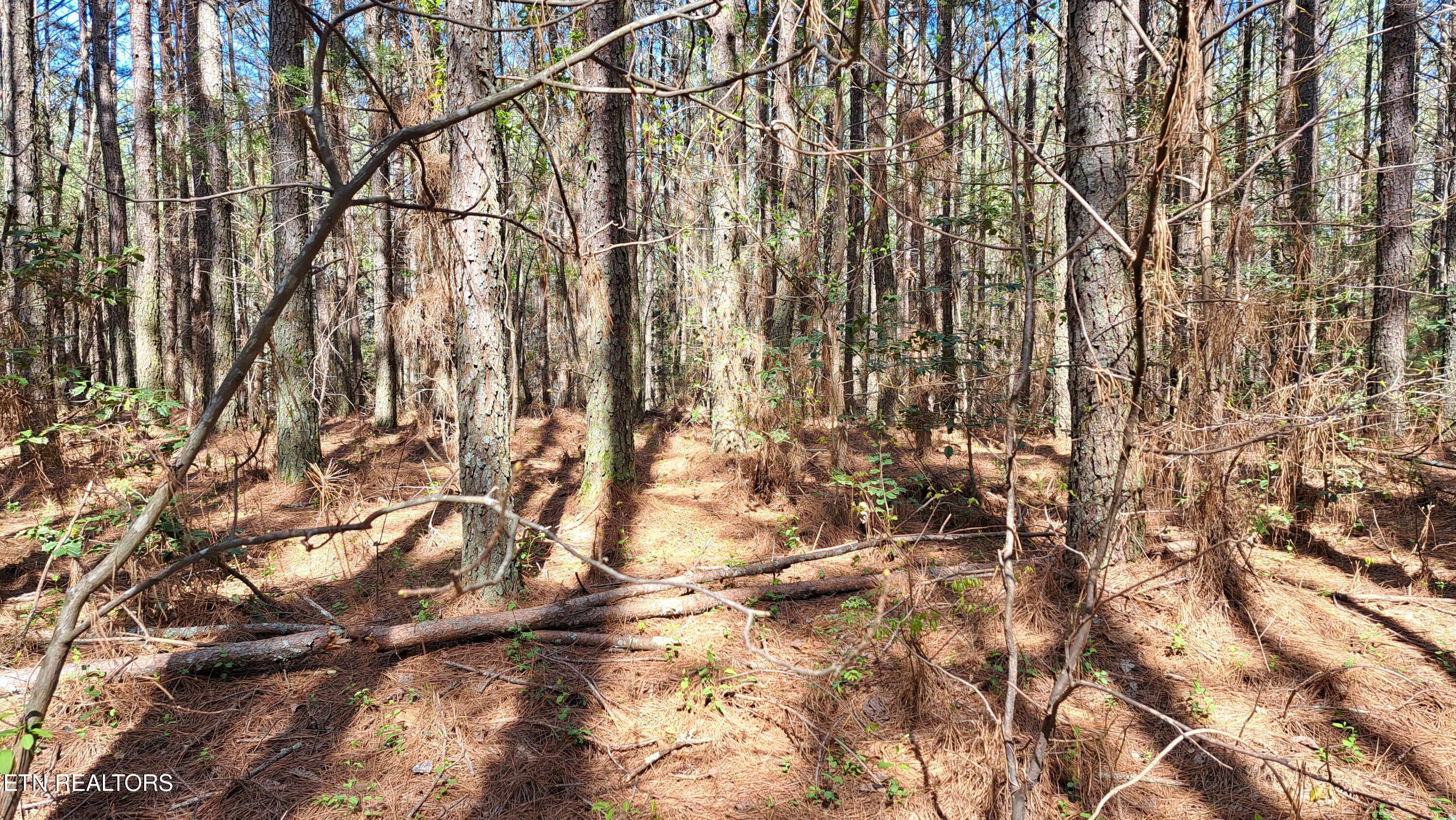 Lot 23 Cornerstone Drive Rockwood TN 37854