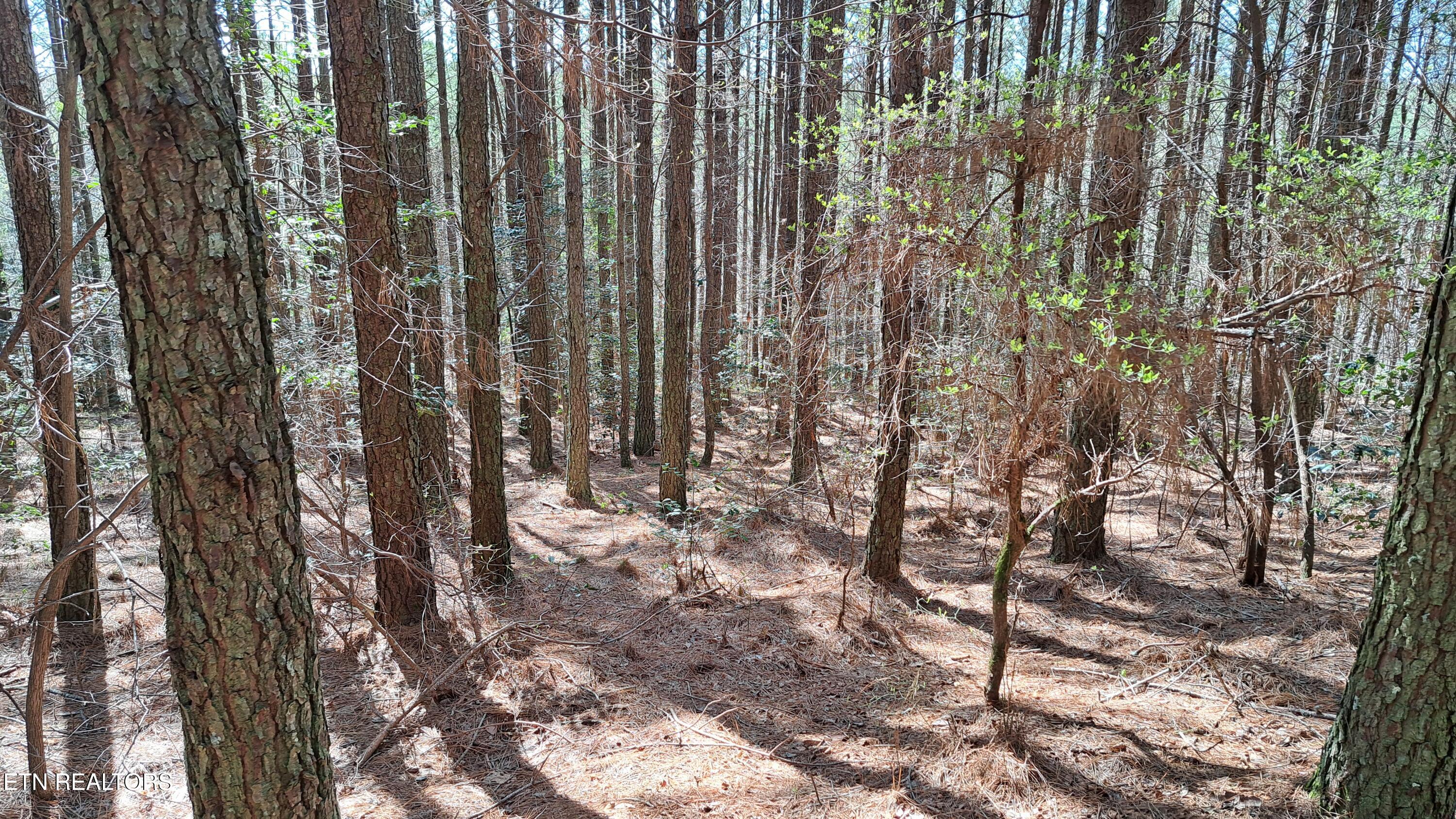 Lot 23 Cornerstone Drive Rockwood TN 37854