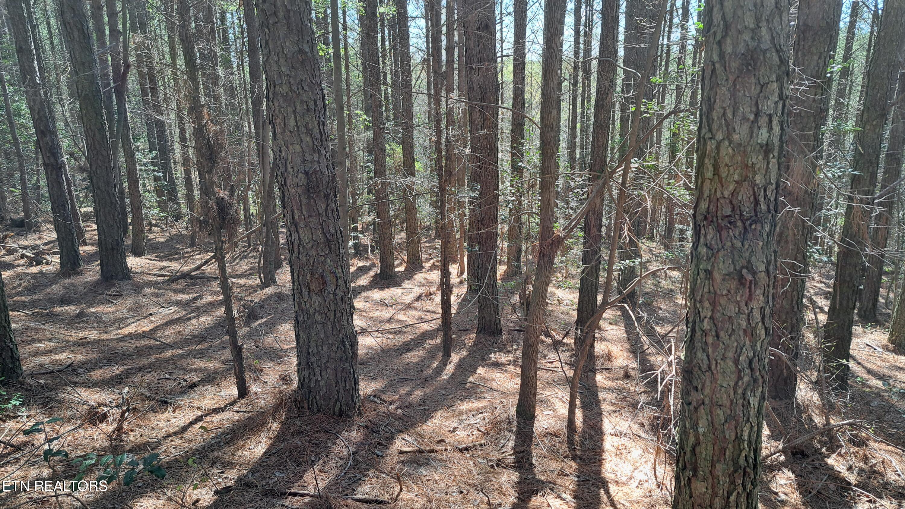 Lot 23 Cornerstone Drive Rockwood TN 37854