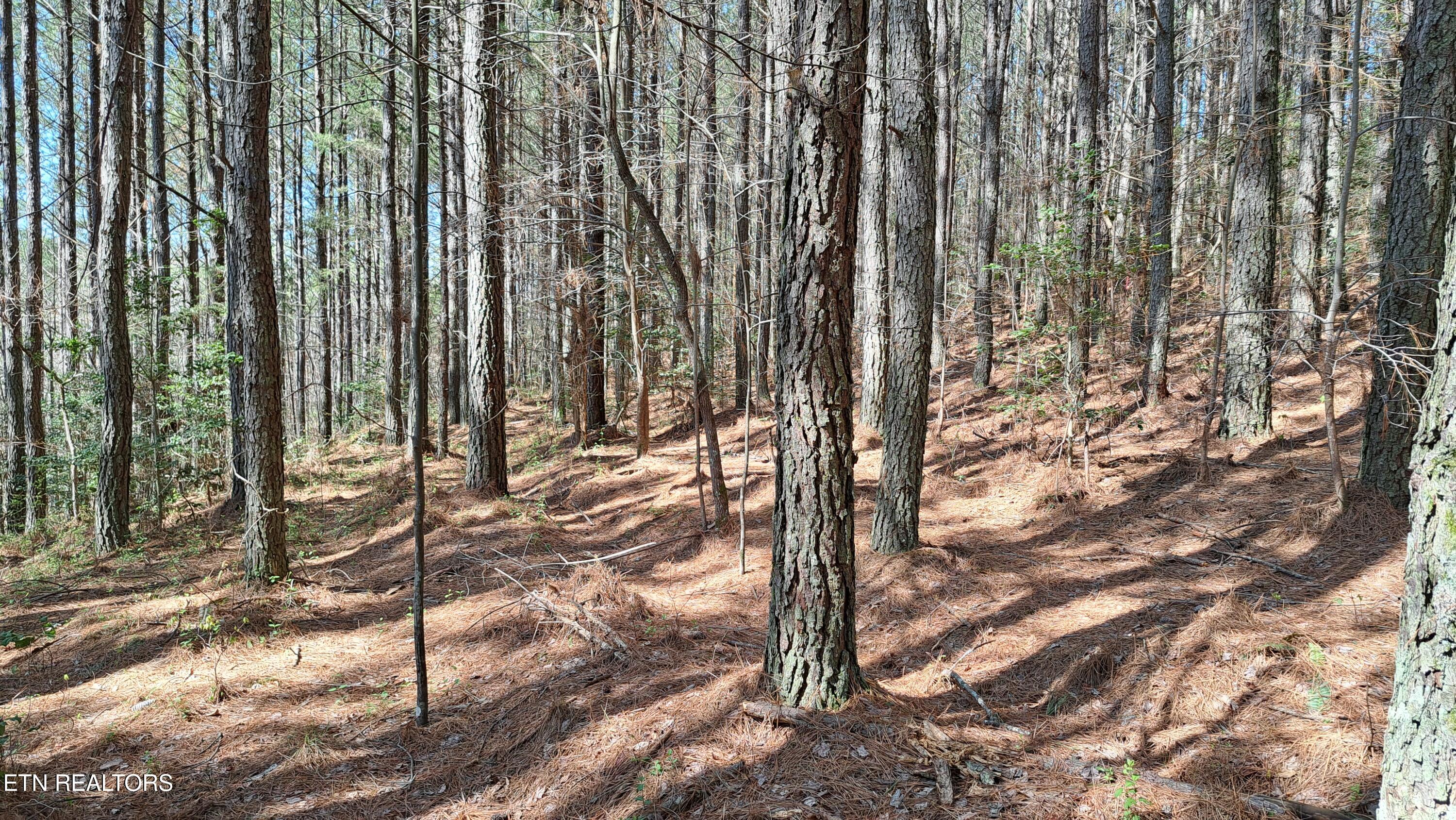 Lot 23 Cornerstone Drive Rockwood TN 37854