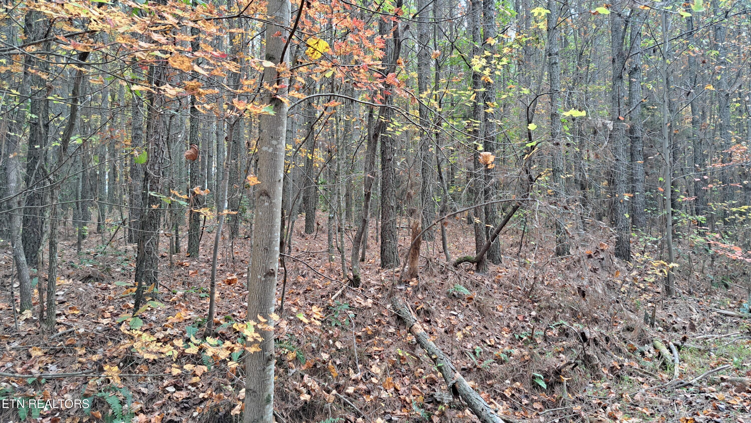 Lot 23 Cornerstone Drive Rockwood TN 37854