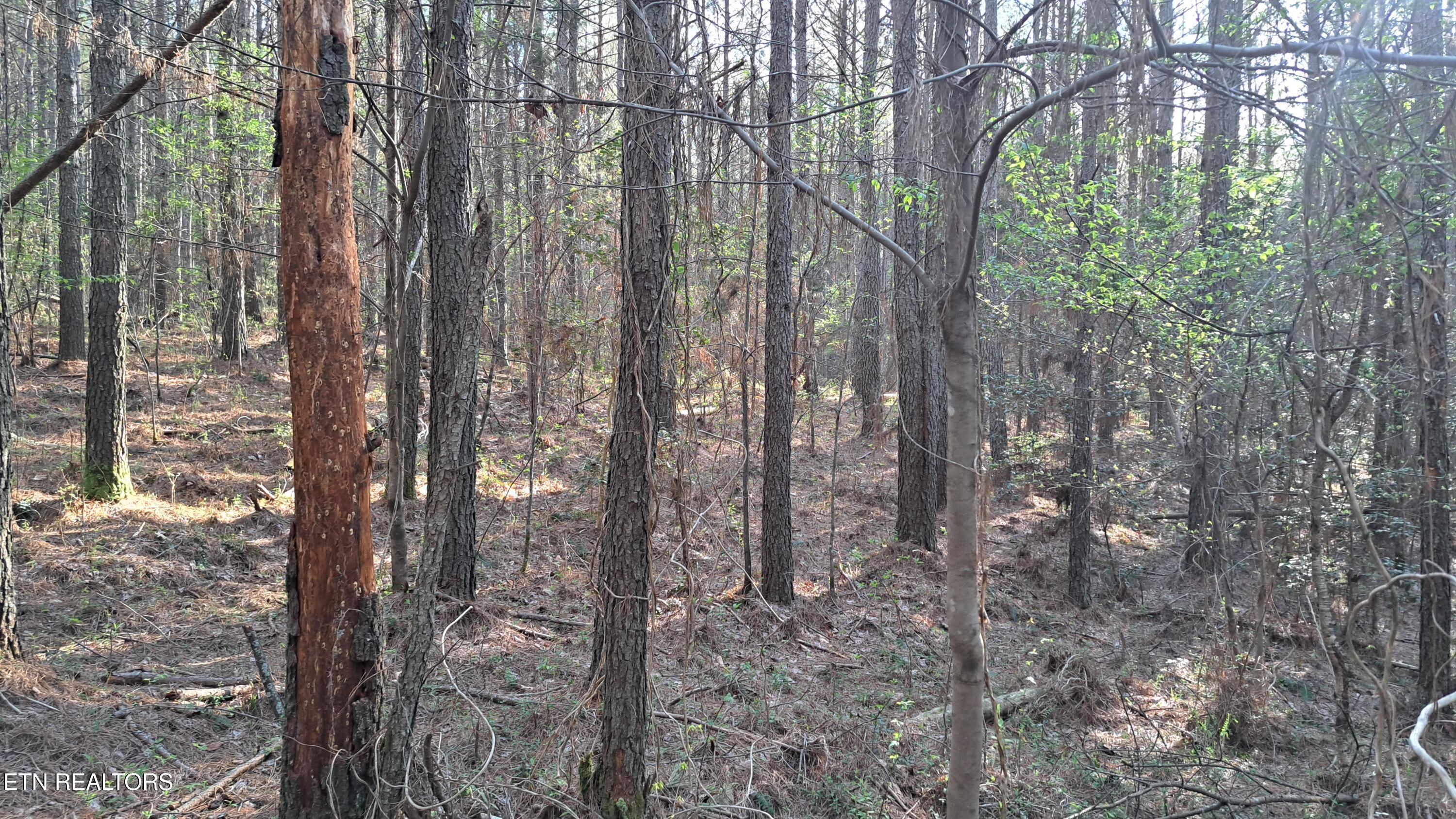 Lot 23 Cornerstone Drive Rockwood TN 37854