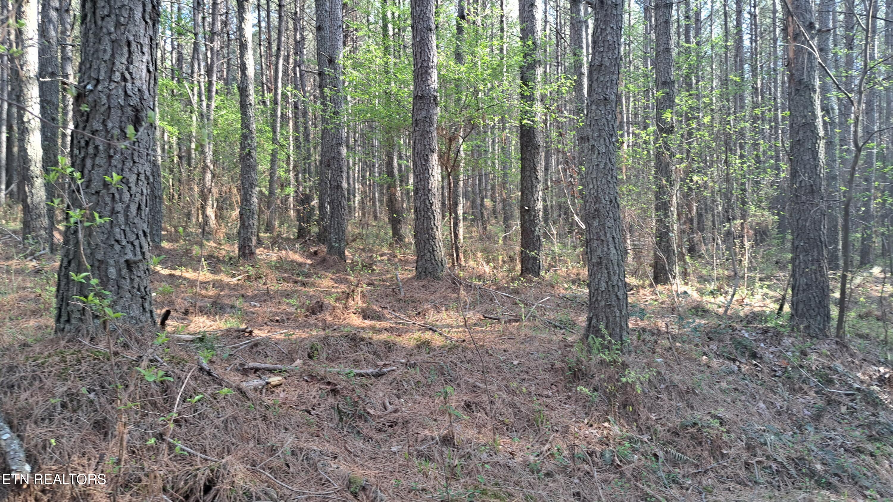 Lot 23 Cornerstone Drive Rockwood TN 37854