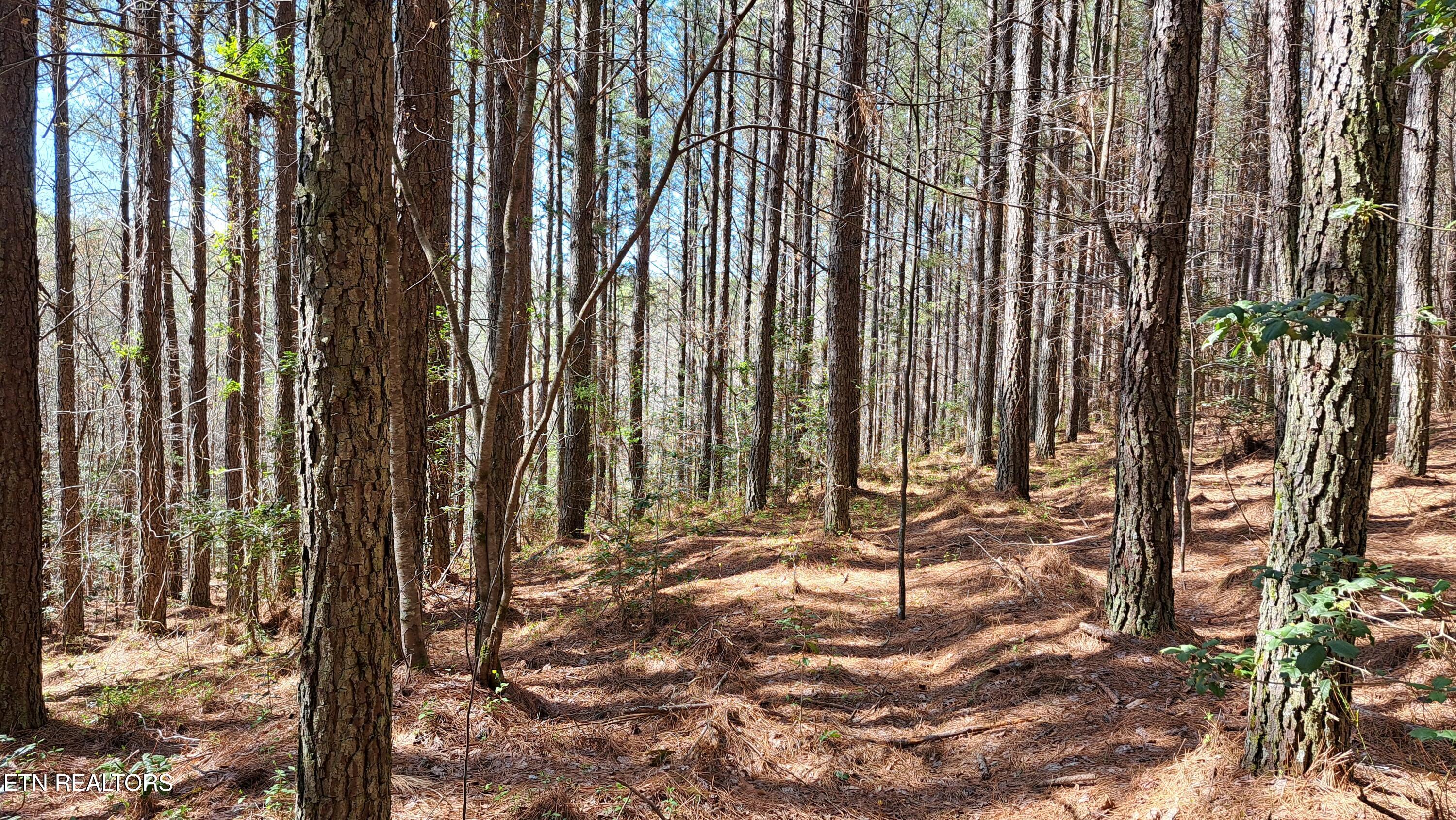 Lot 23 Cornerstone Drive Rockwood TN 37854