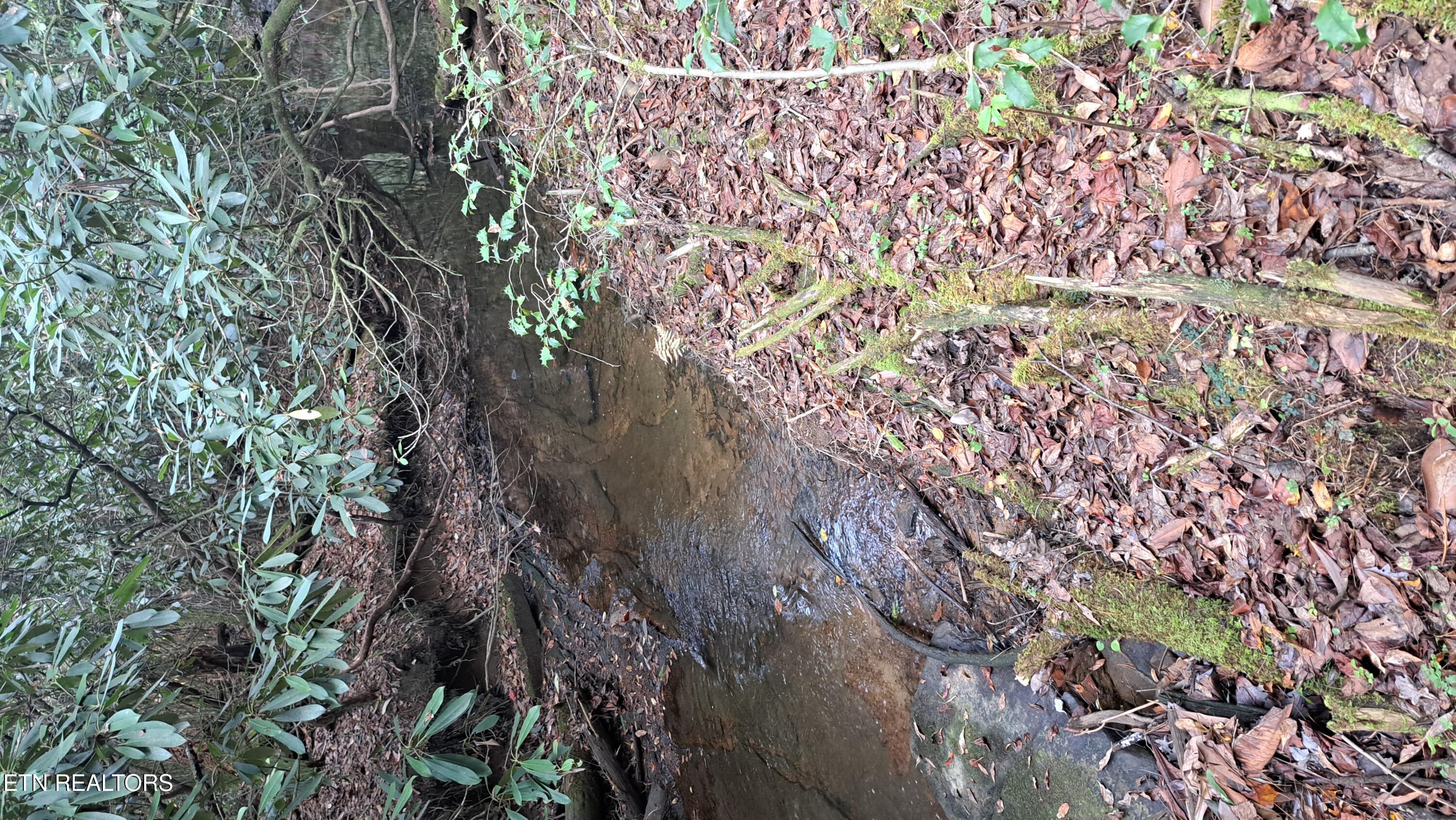 Lot 23 Cornerstone Drive Rockwood TN 37854
