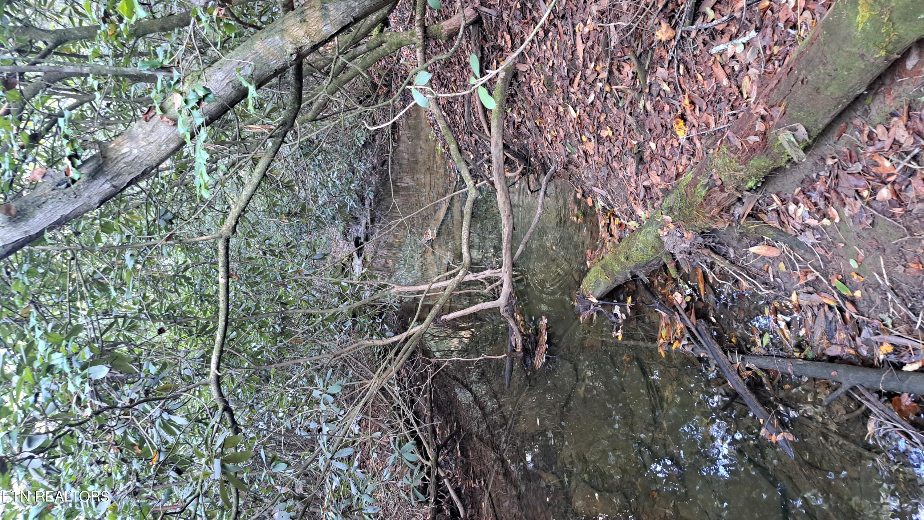 Lot 23 Cornerstone Drive Rockwood TN 37854