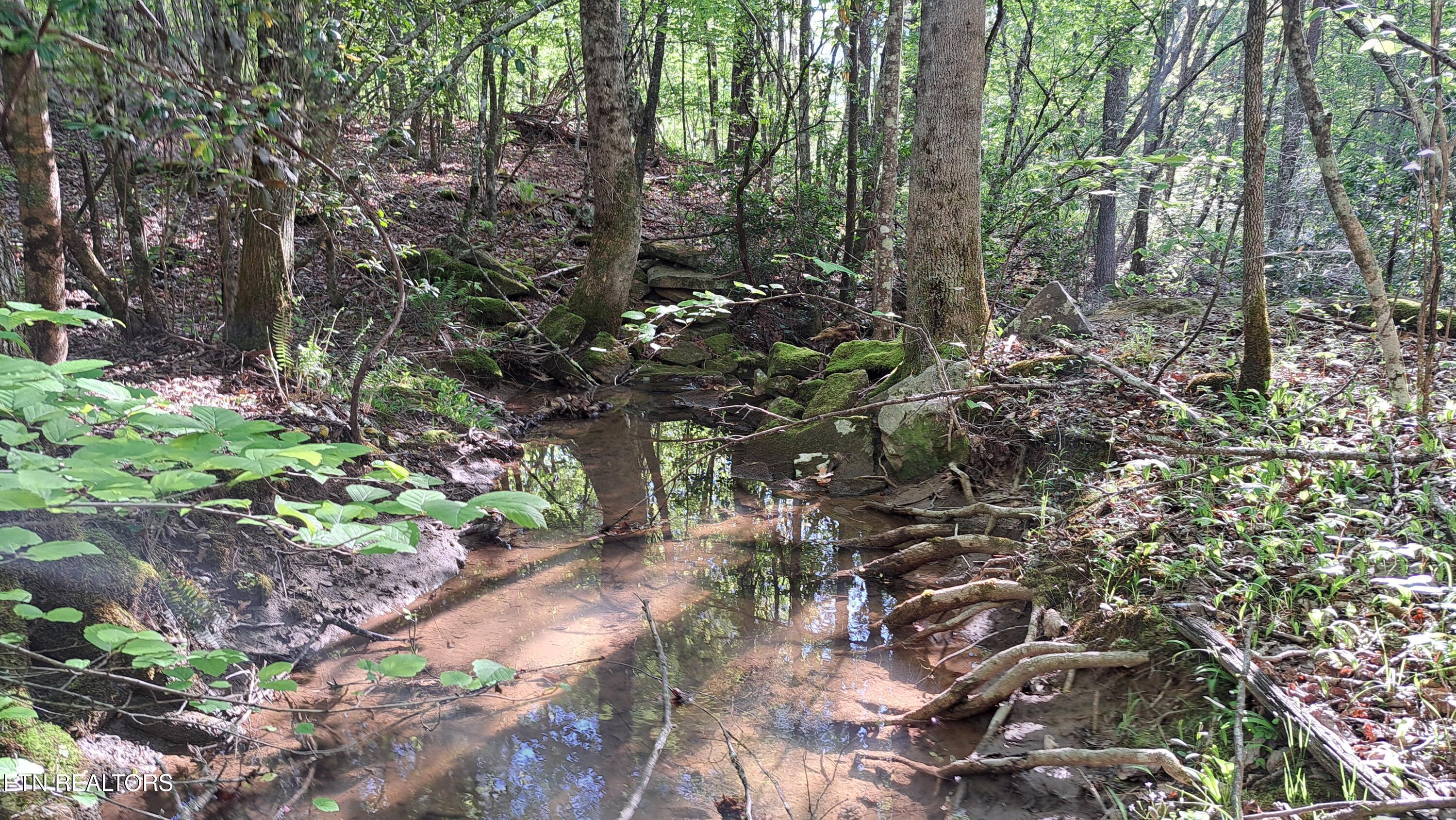 Lot 23 Cornerstone Drive Rockwood TN 37854