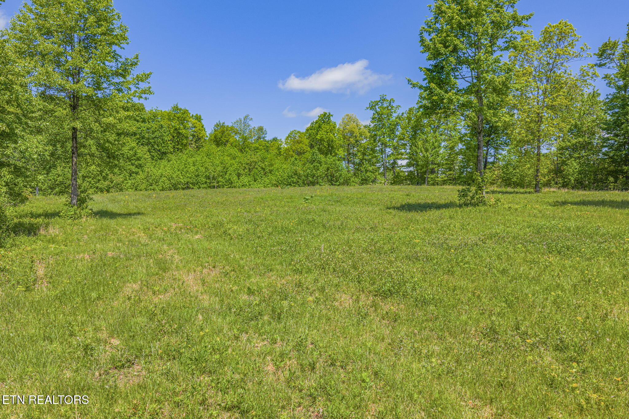 3835 Millstone Mountain Road Rockwood TN 37854