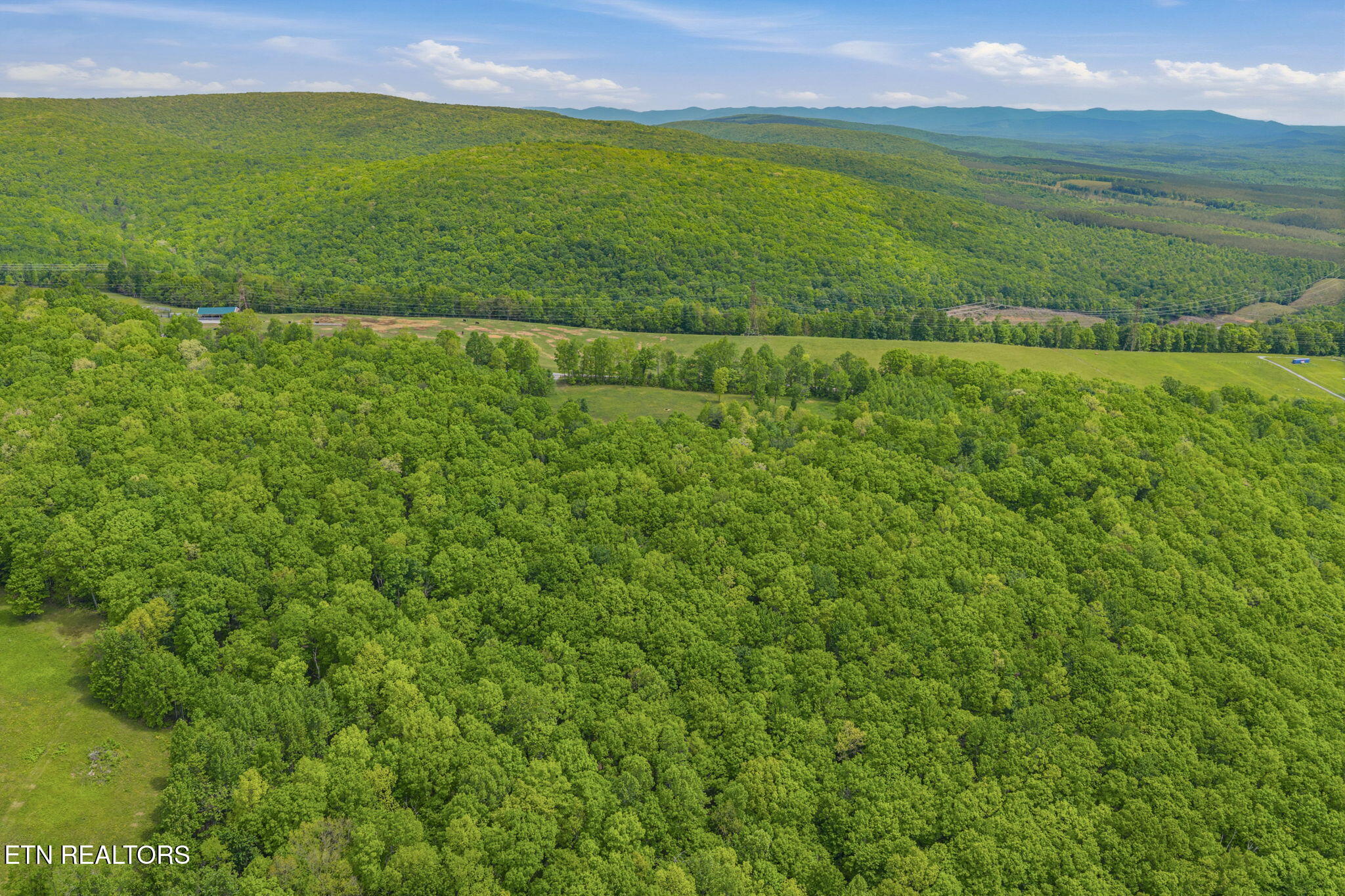 3835 Millstone Mountain Road Rockwood TN 37854