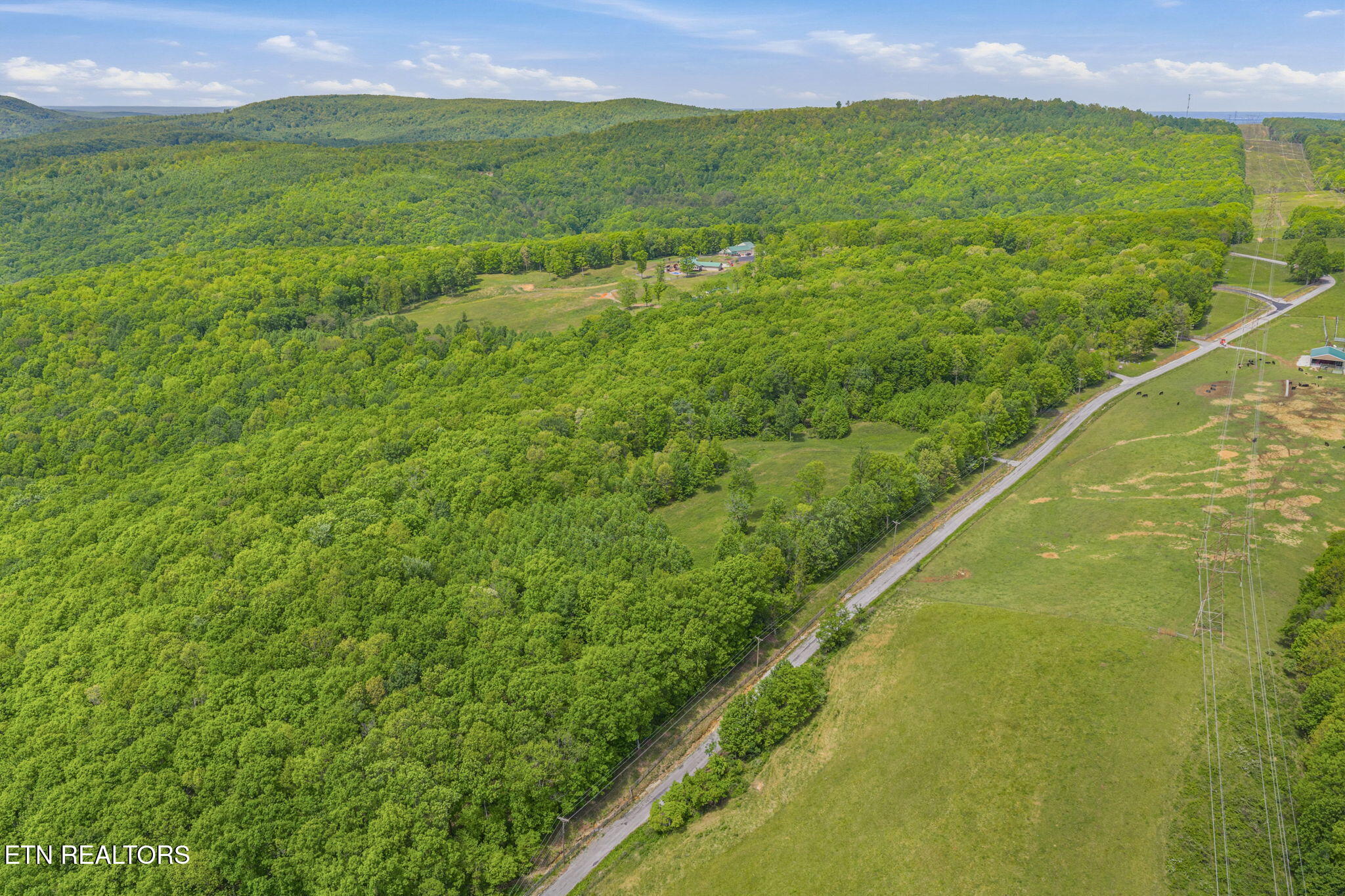 3835 Millstone Mountain Road Rockwood TN 37854