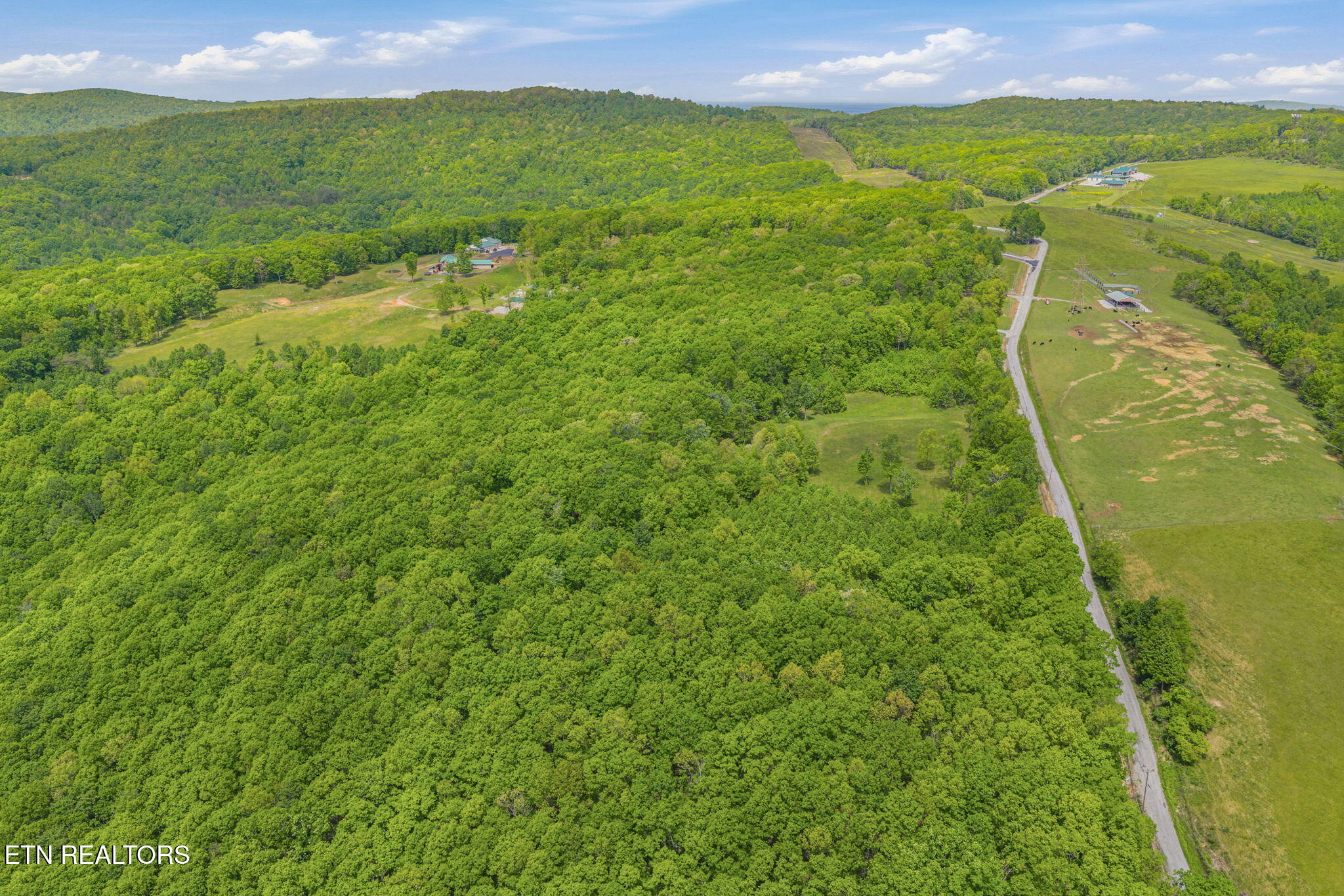 3835 Millstone Mountain Road Rockwood TN 37854
