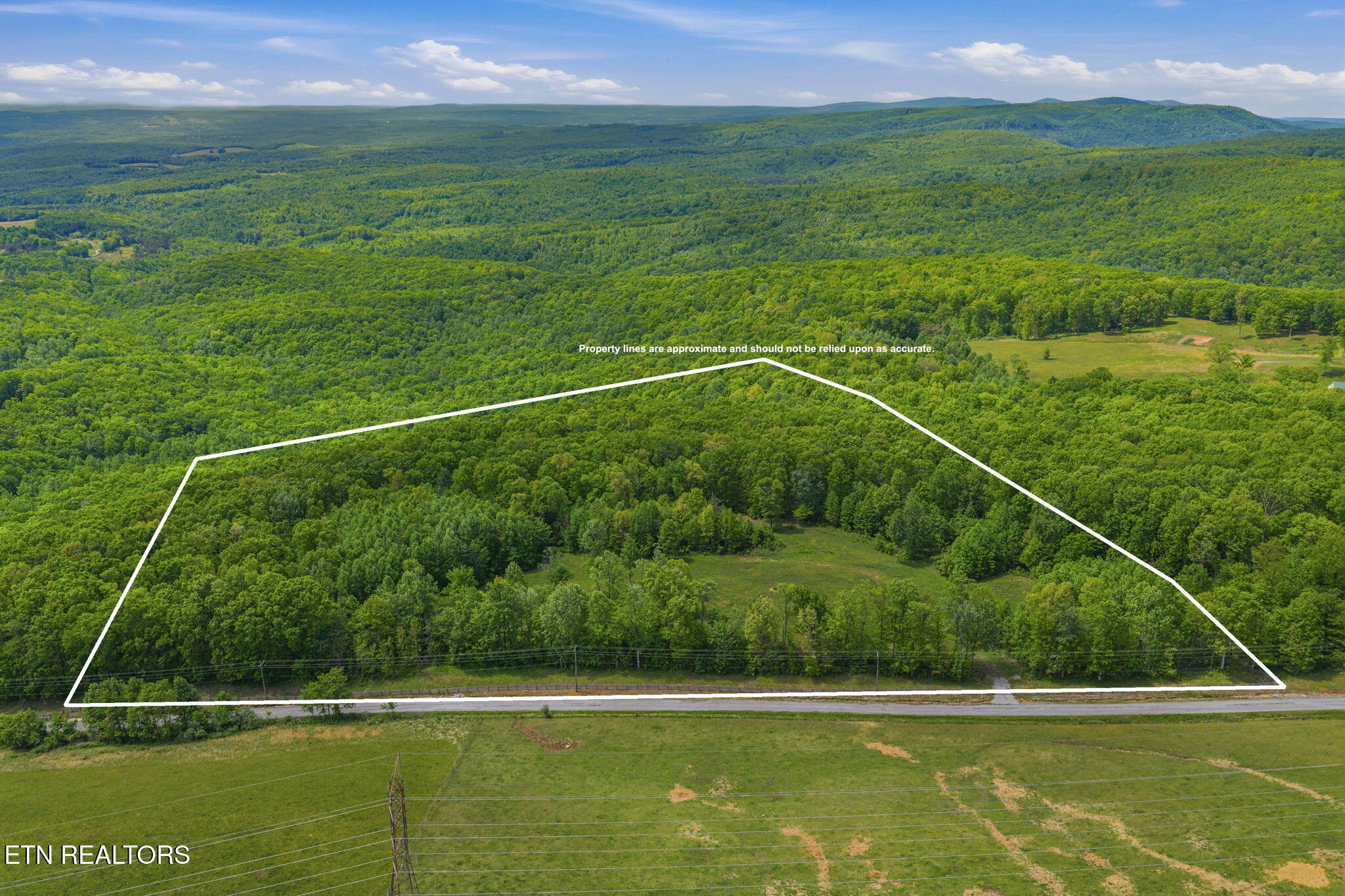 3835 Millstone Mountain Road Rockwood TN 37854
