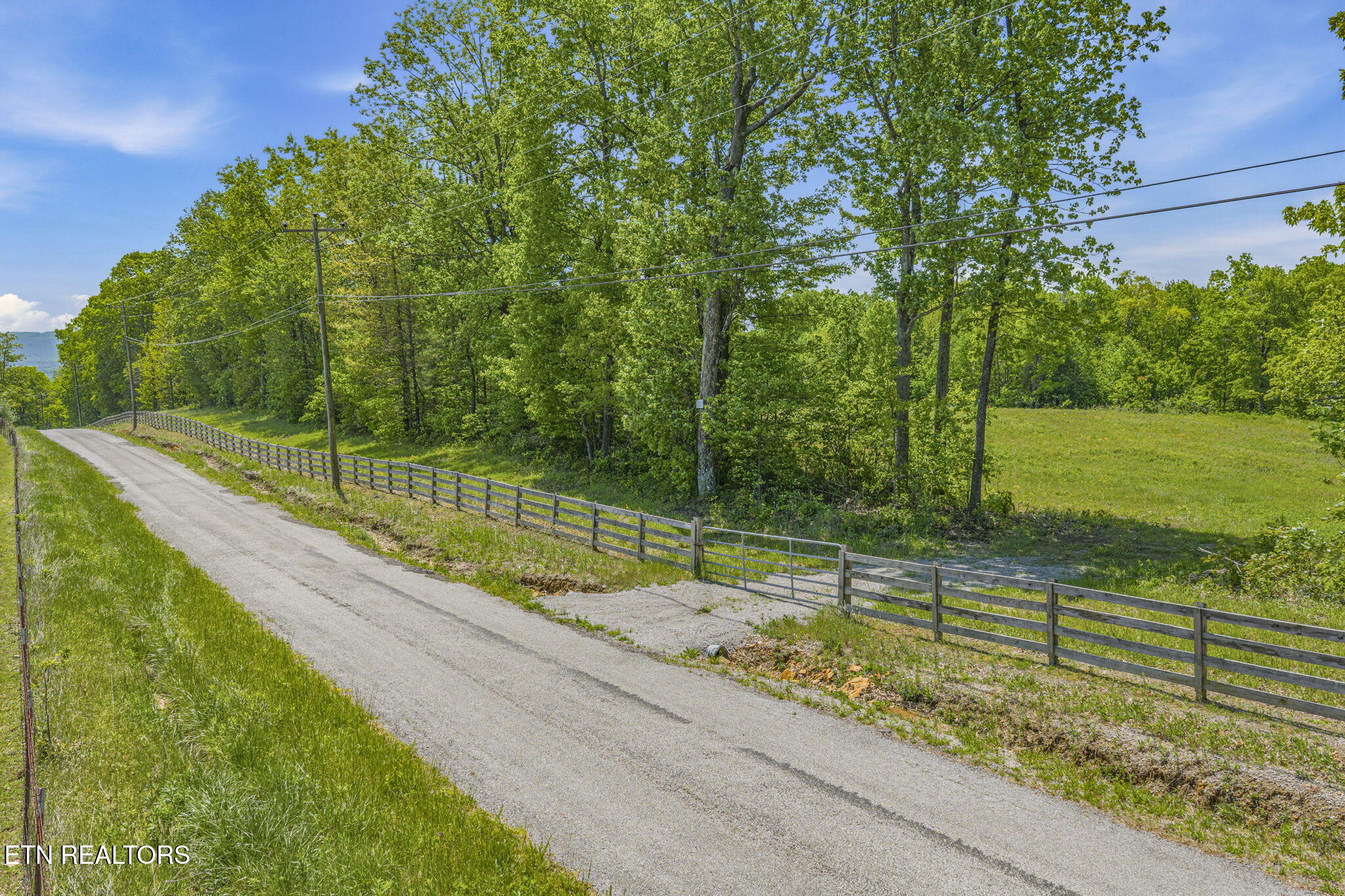 3835 Millstone Mountain Road Rockwood TN 37854