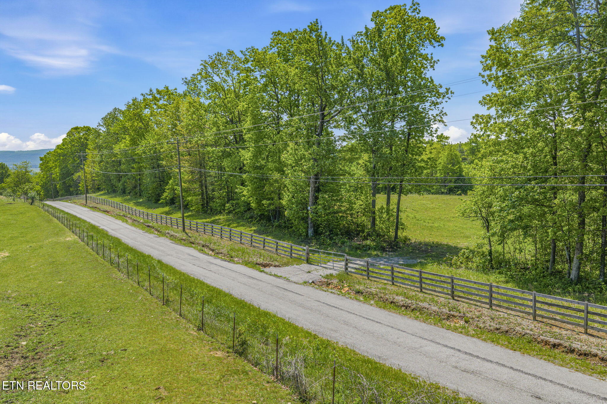 3835 Millstone Mountain Road Rockwood TN 37854