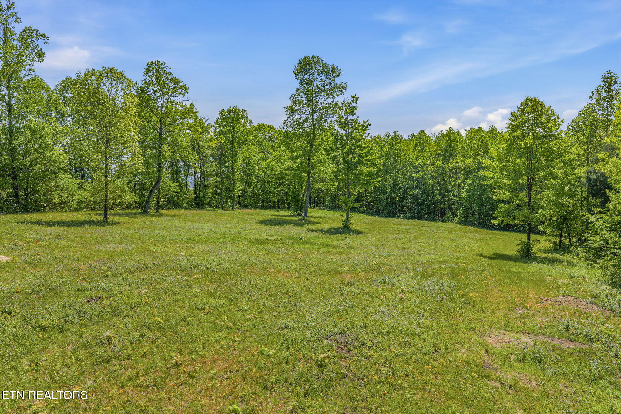 3835 Millstone Mountain Road Rockwood TN 37854