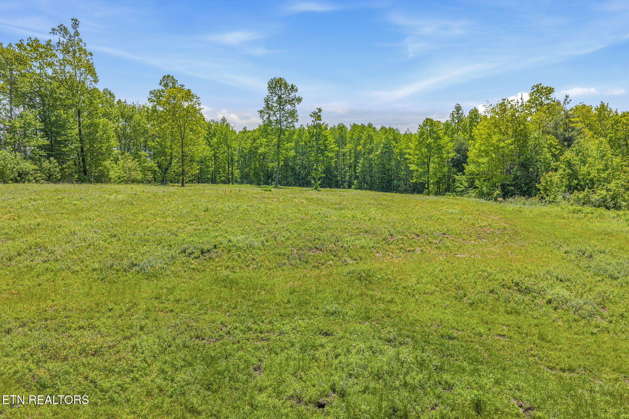3835 Millstone Mountain Road Rockwood TN 37854