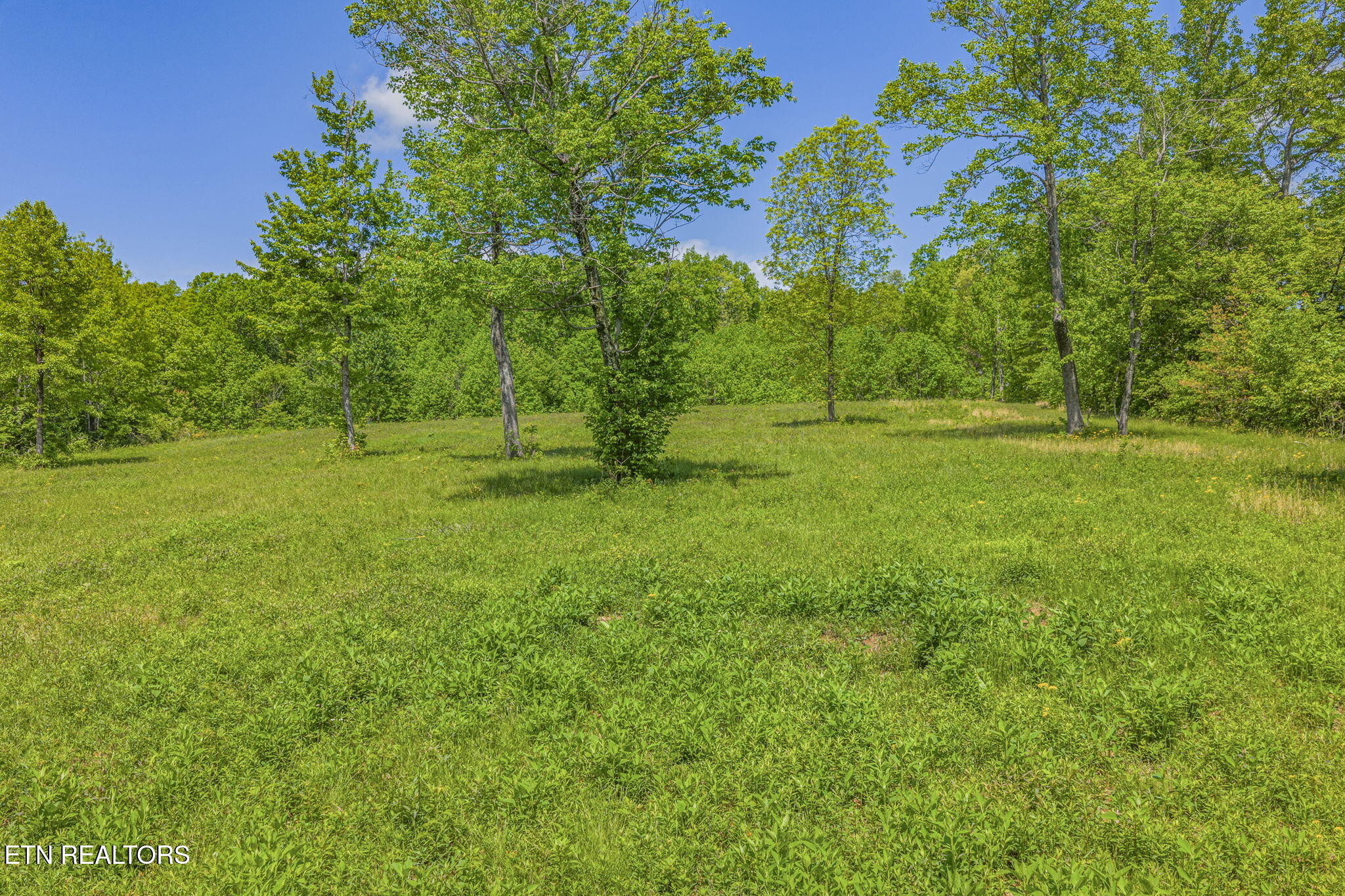 3835 Millstone Mountain Road Rockwood TN 37854