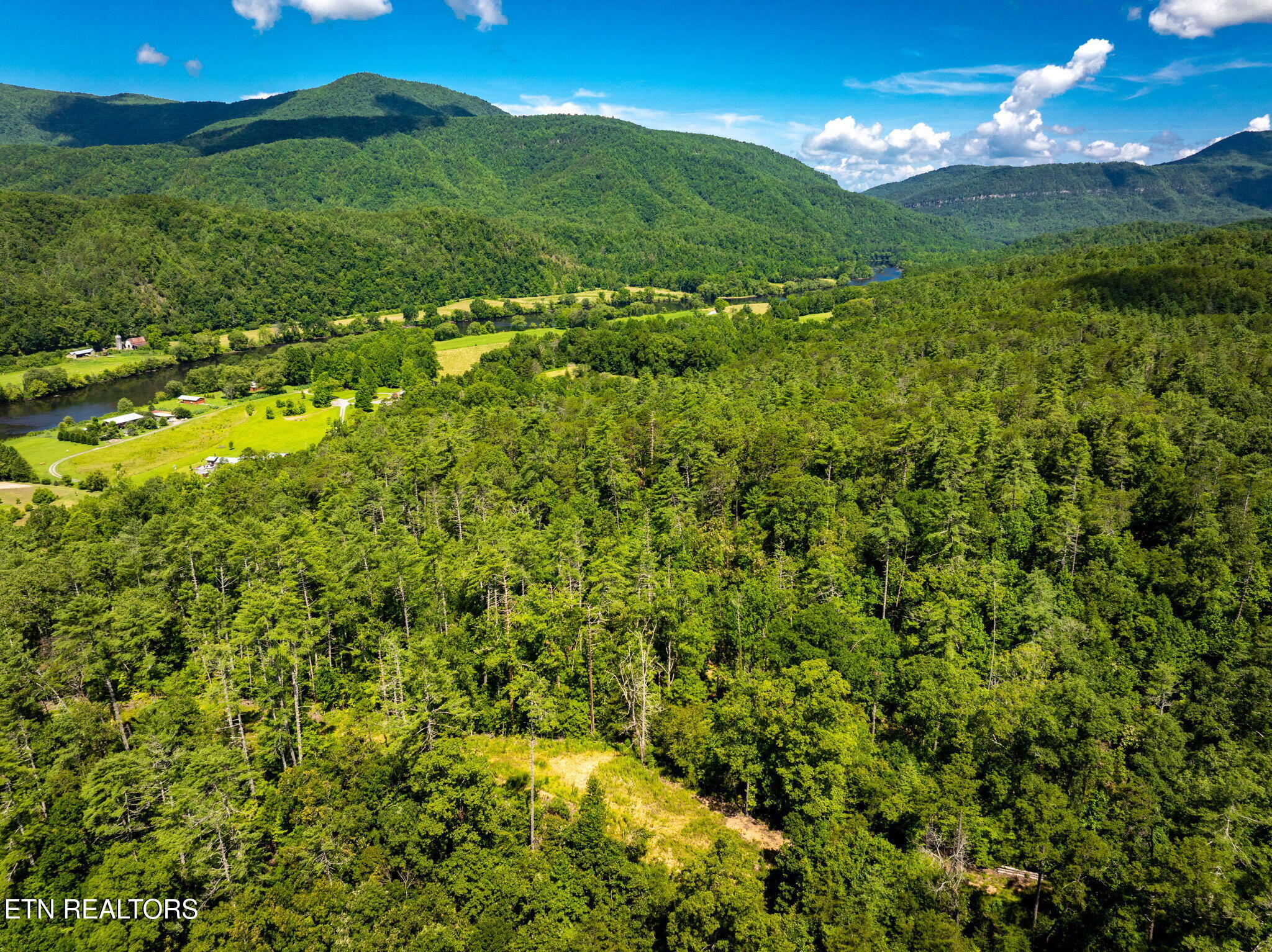 37+/- Hambright Drive Road Reliance TN 37369