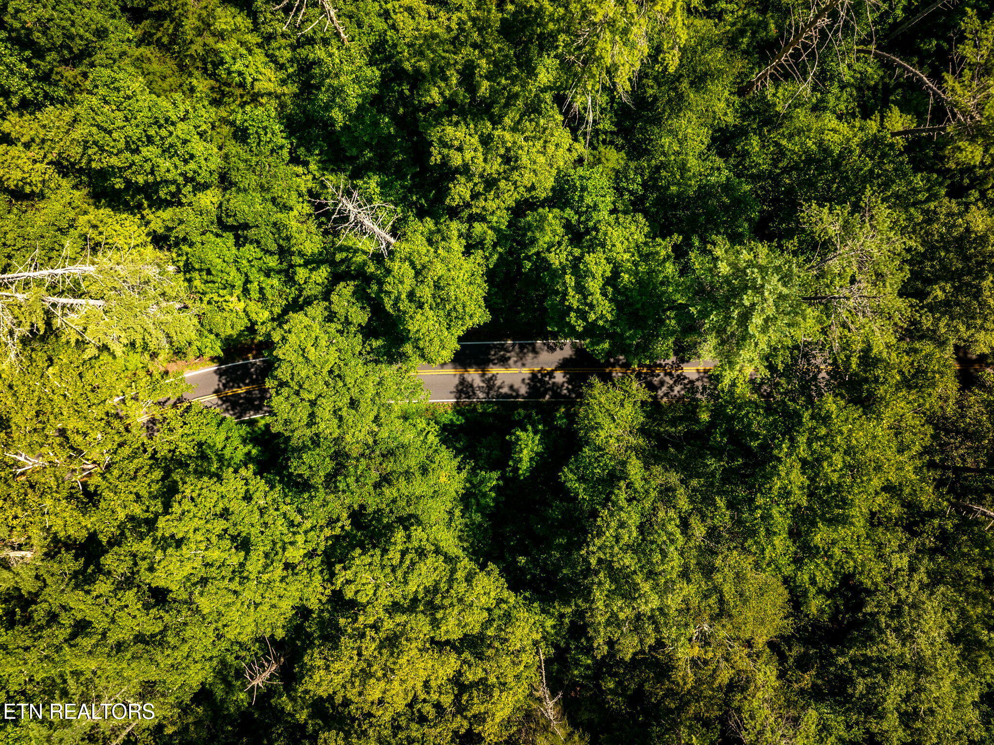 37+/- Hambright Drive Road Reliance TN 37369
