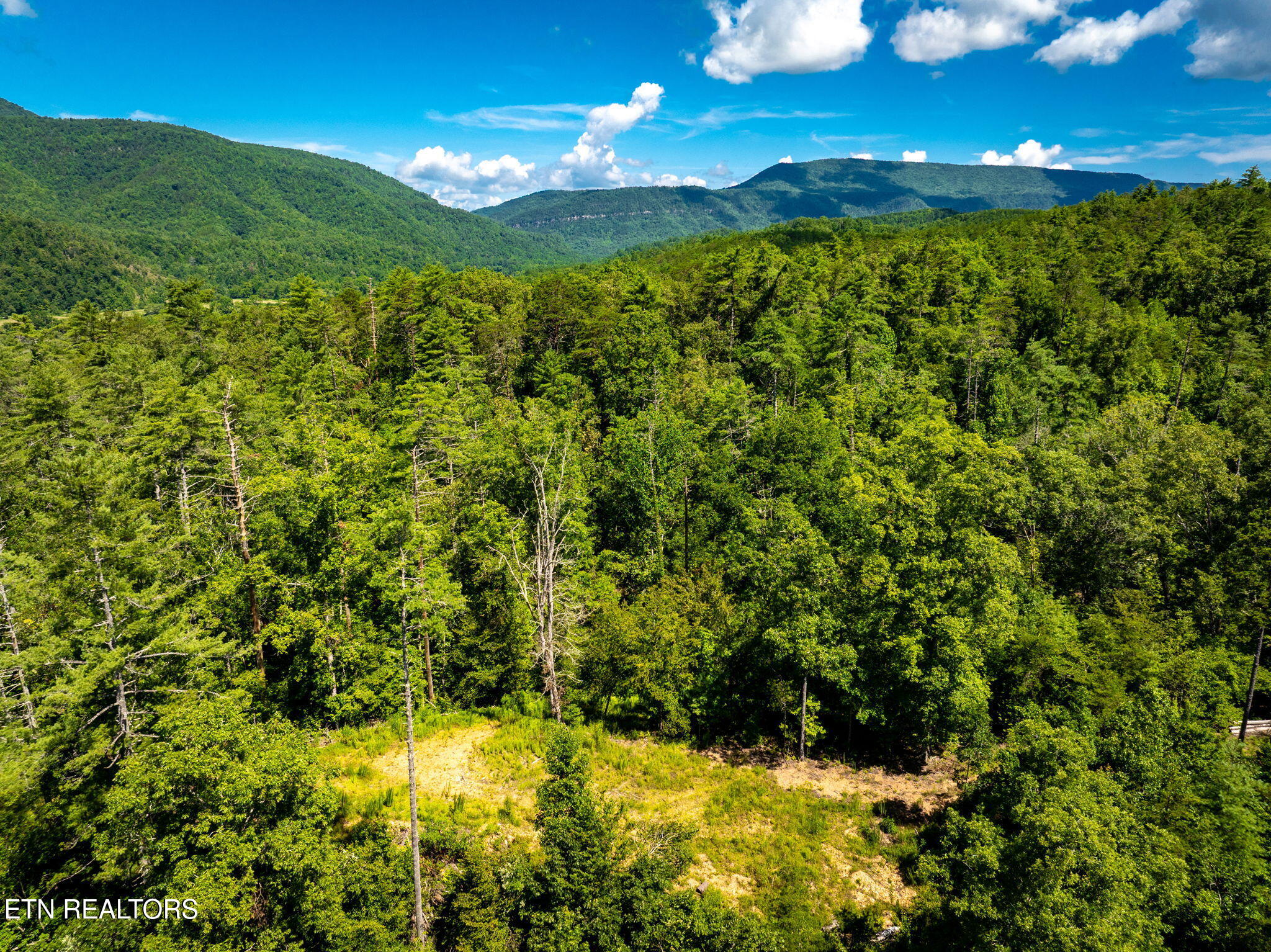 37+/- Hambright Drive Road Reliance TN 37369