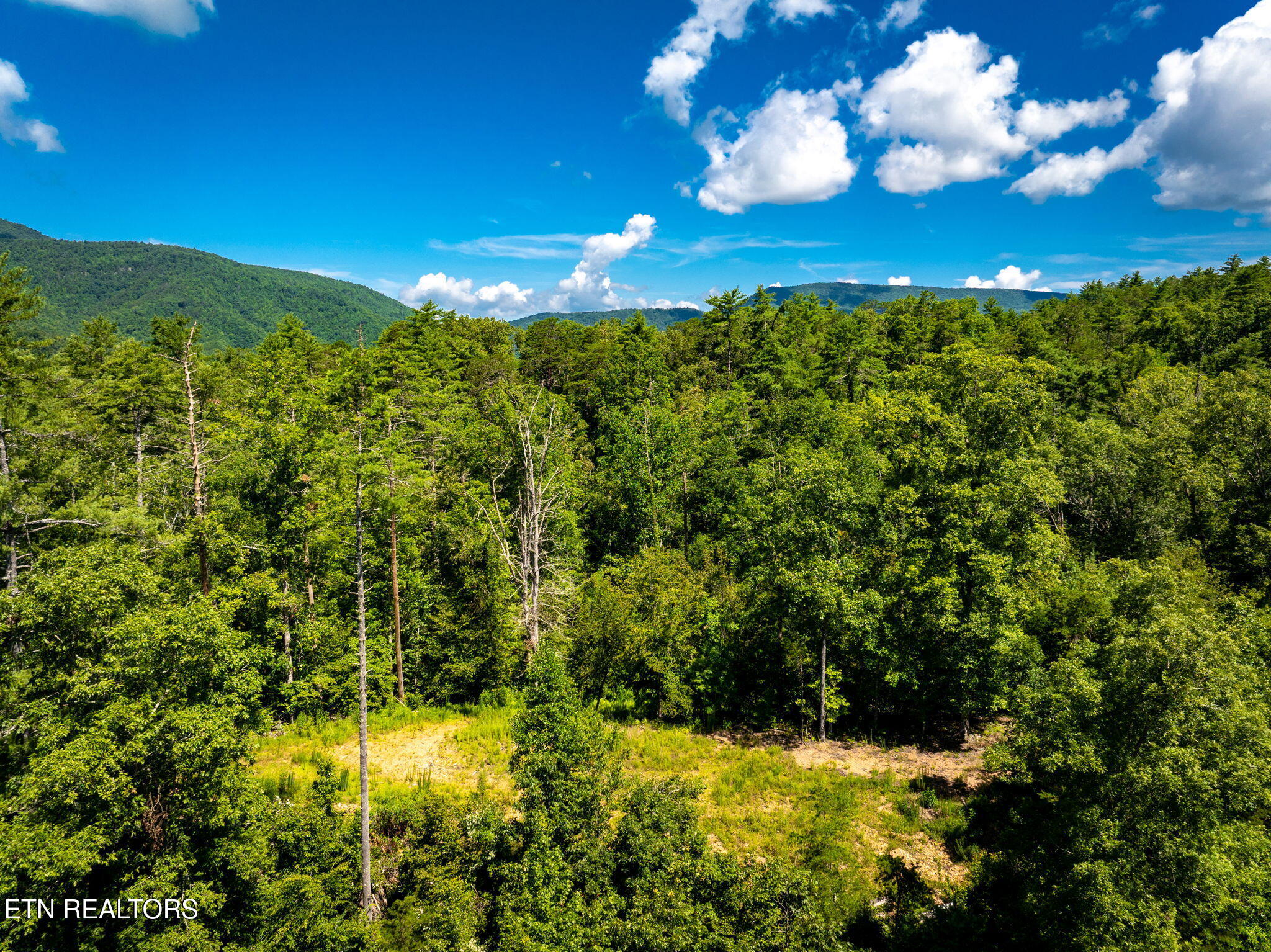 37+/- Hambright Drive Road Reliance TN 37369