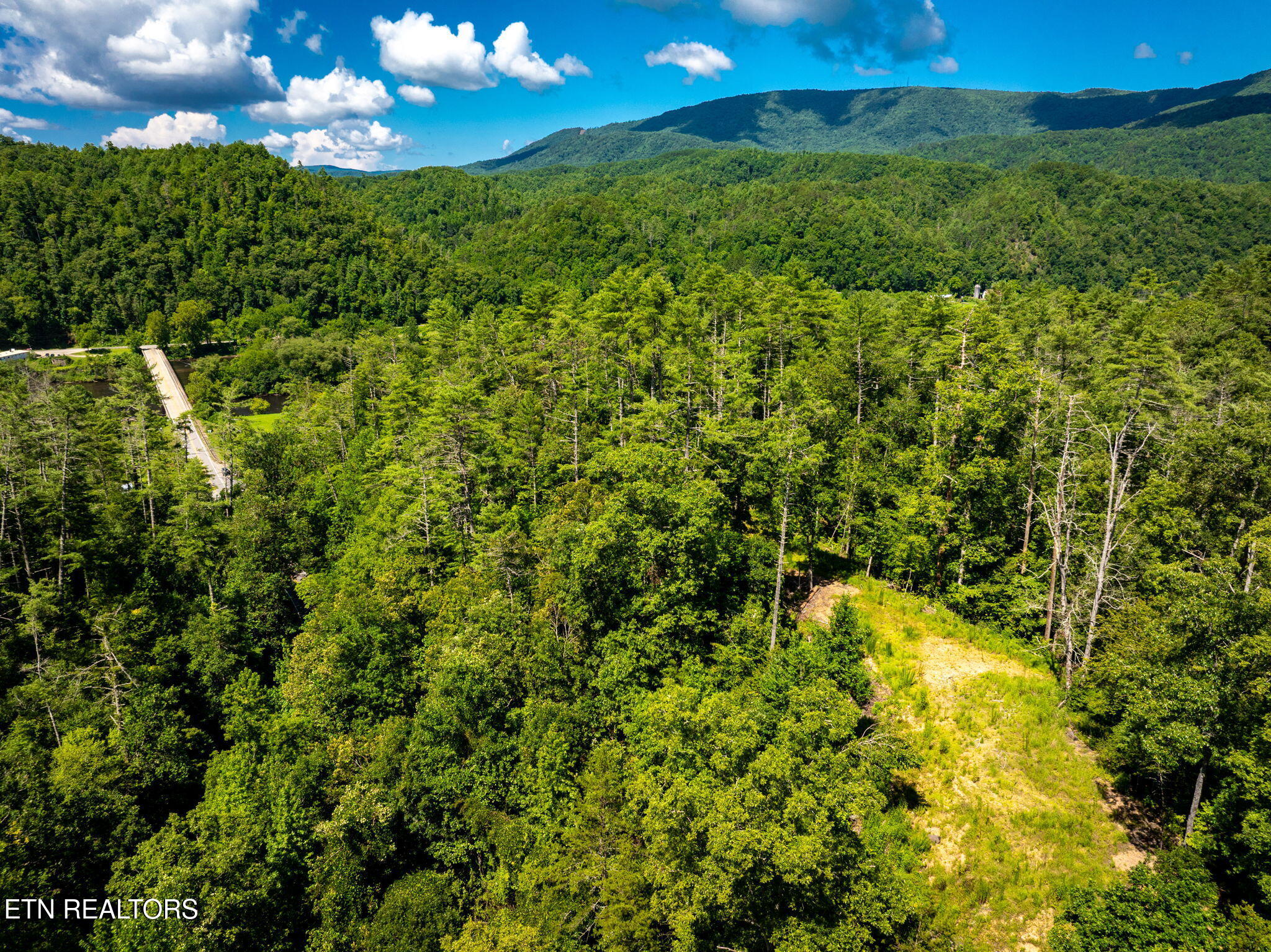 37+/- Hambright Drive Road Reliance TN 37369