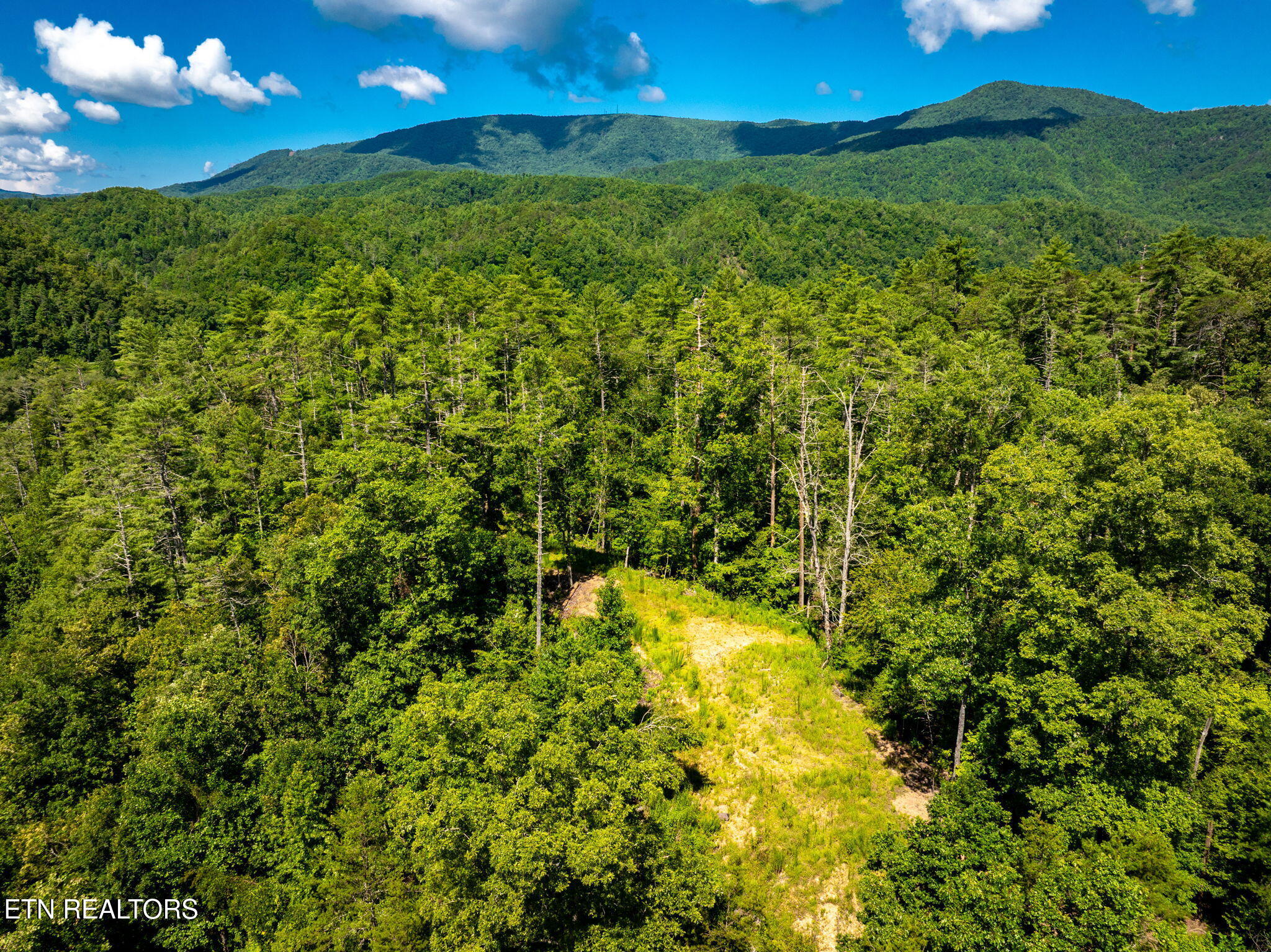 37+/- Hambright Drive Road Reliance TN 37369