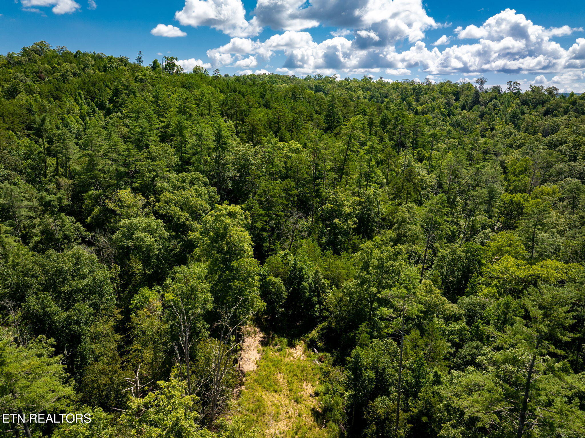 37+/- Hambright Drive Road Reliance TN 37369