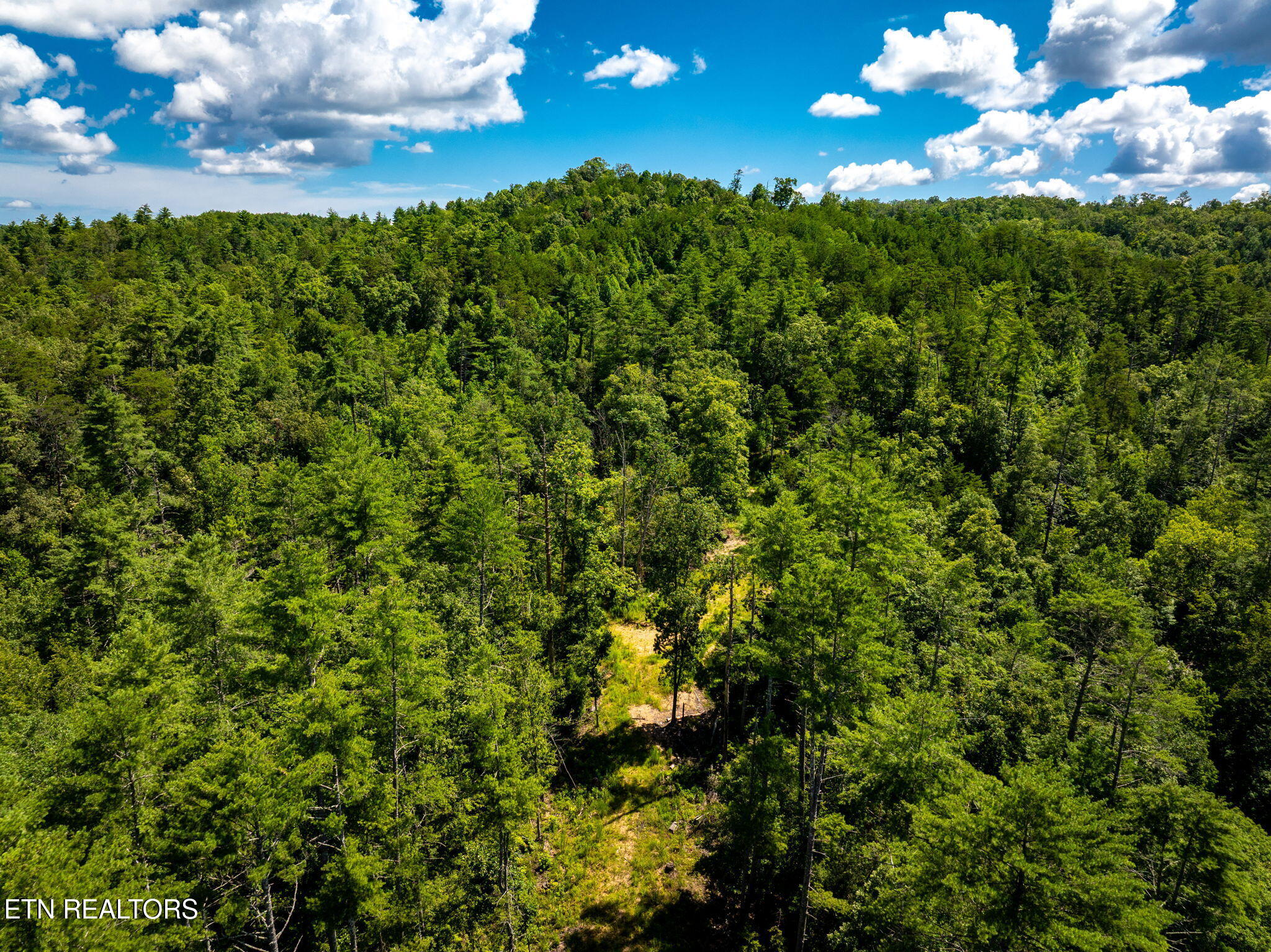 37+/- Hambright Drive Road Reliance TN 37369