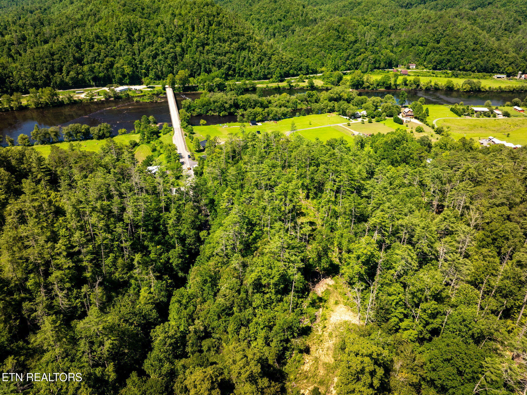 37+/- Hambright Drive Road Reliance TN 37369